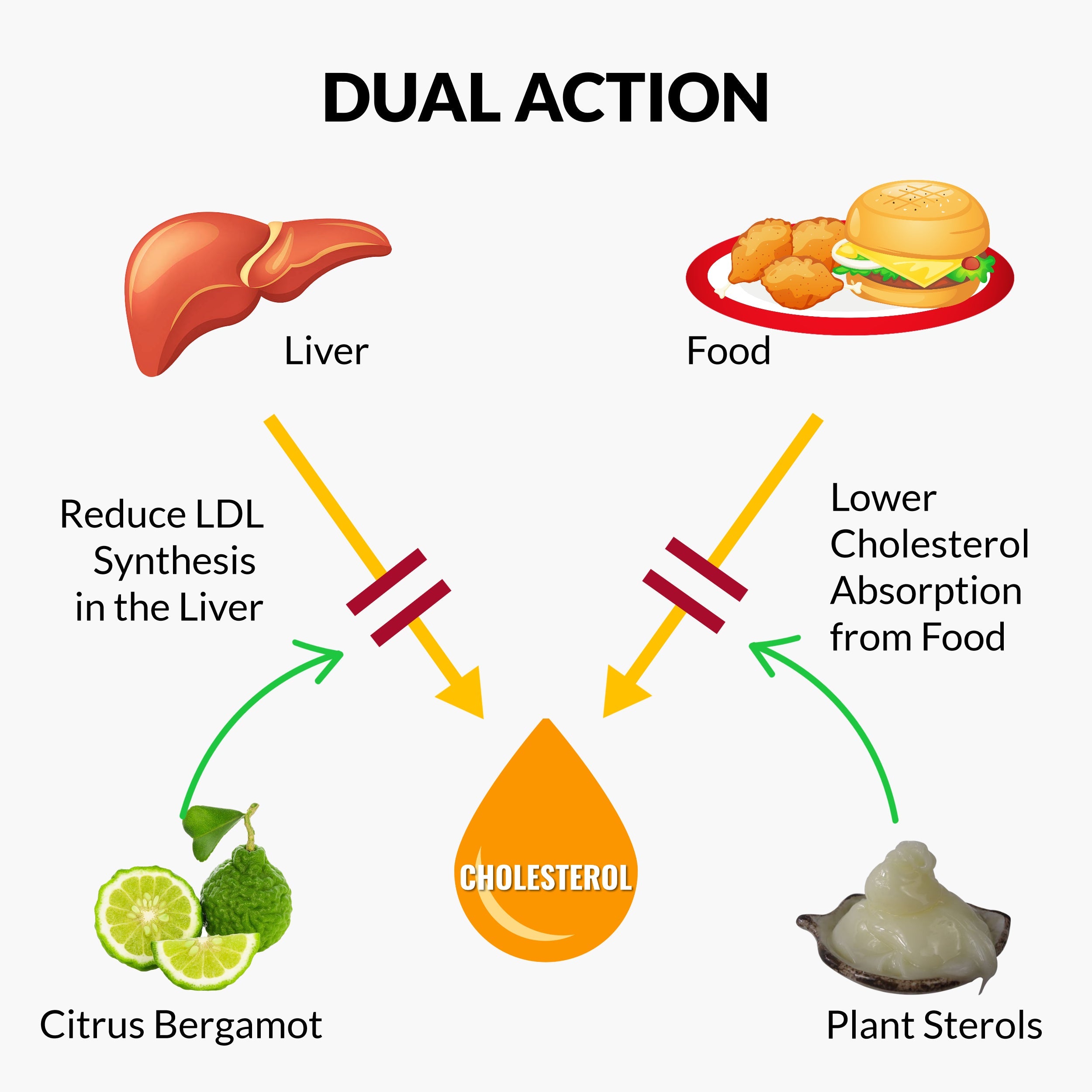 Plant Sterols Citrus Bergamot