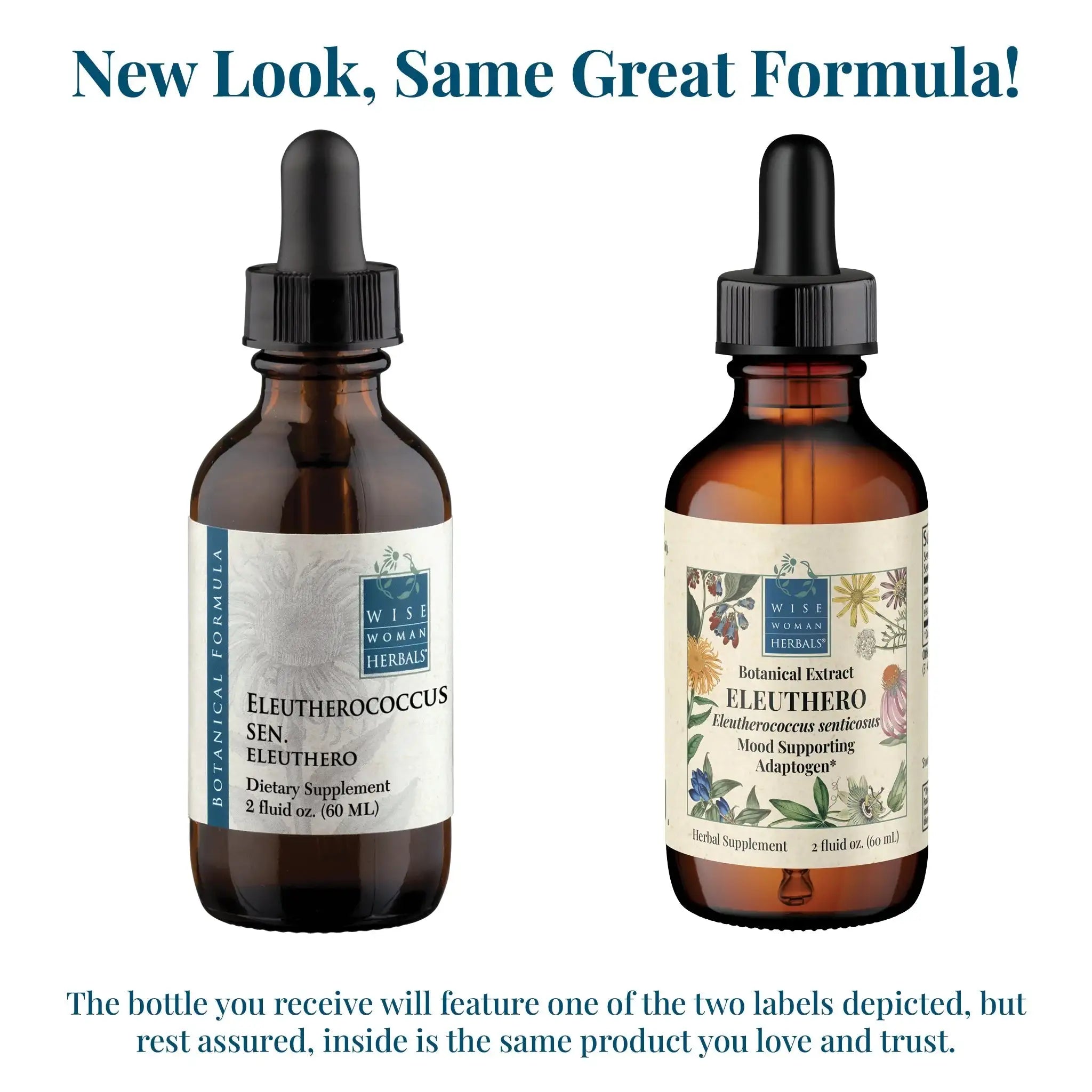 Eleuthero (Eleutherococcus senticosus)