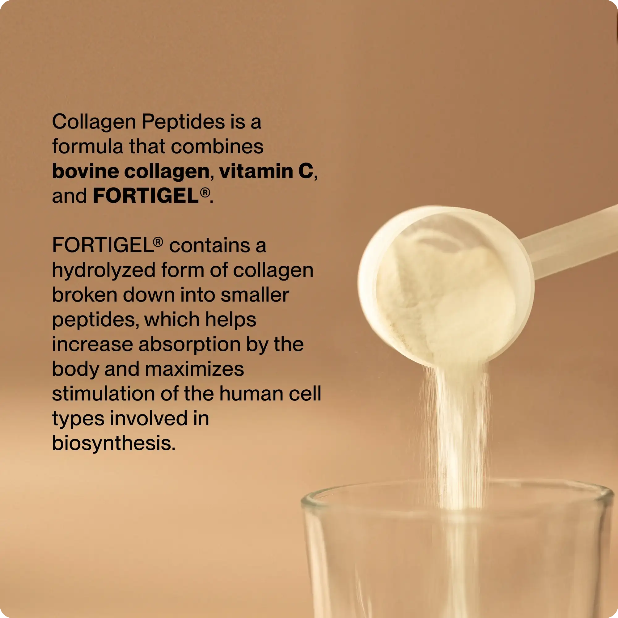 Collagen Peptides