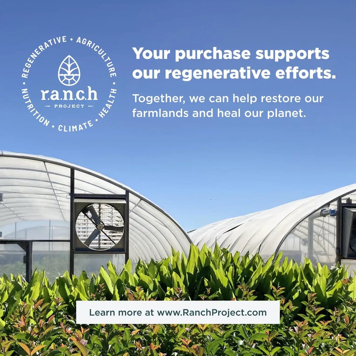 Ancient Nutrition Multi Collagen Protein Powder Chocolate & Vanilla - 10 Collagen Types for Joints Skin Hair Nails Gut Support - HSA FSA Eligible