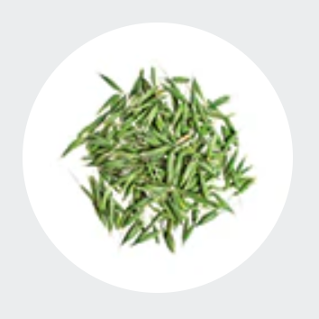 <strong>Superfood Support</strong>