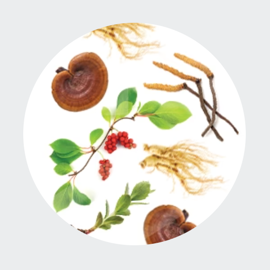 <strong>Superfood Support</strong>