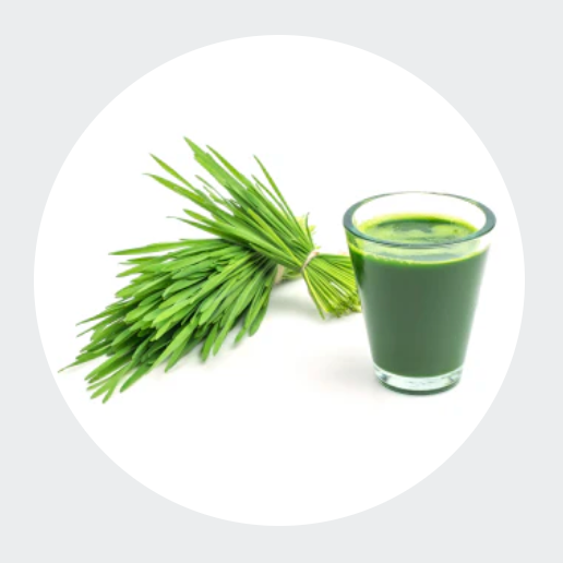 <strong>Organic Grass Juices</strong>