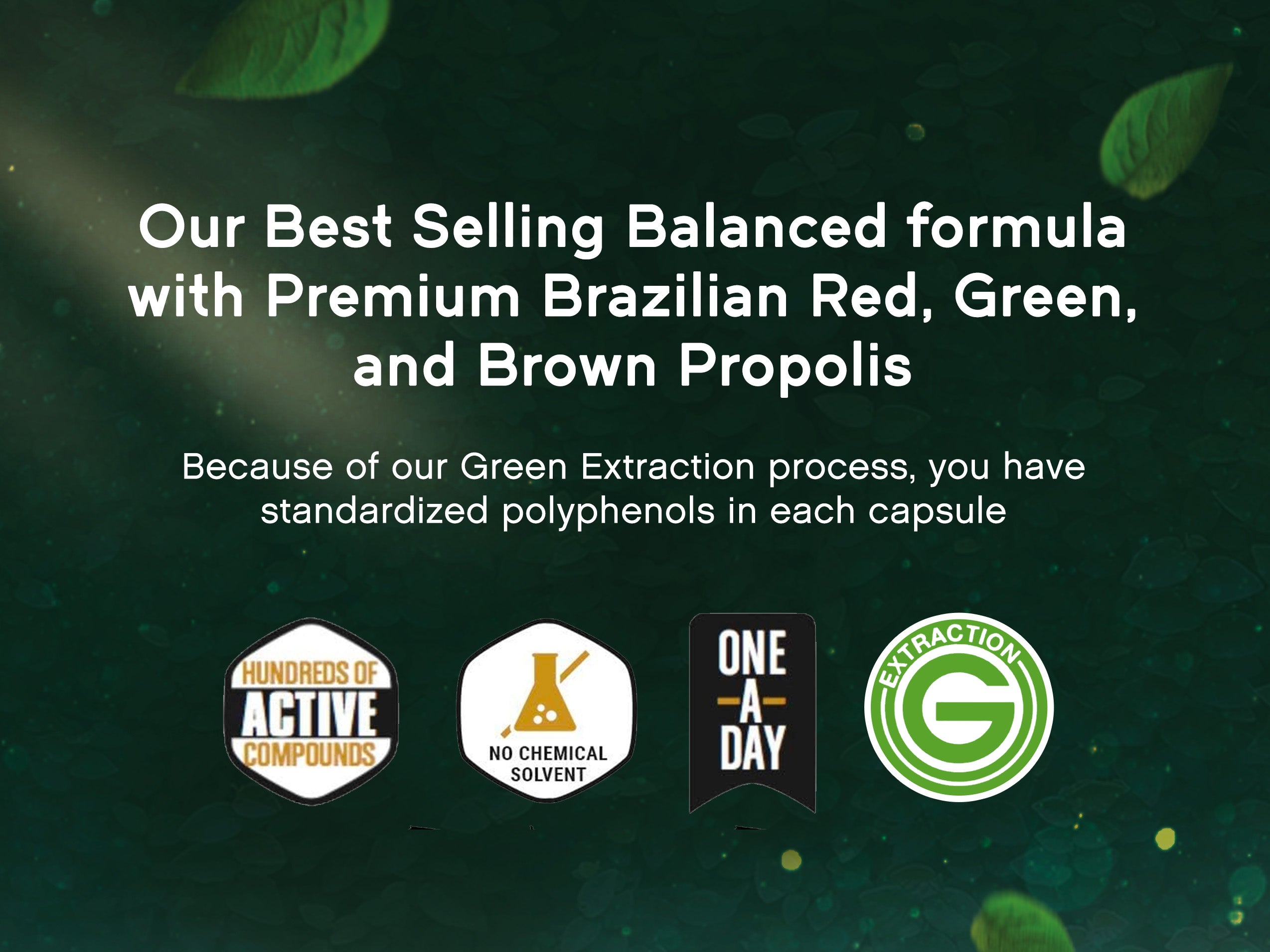 Ultimate Bee Propolis Bundle, NSF Contents Certified, 60 capsules | Pack of 3