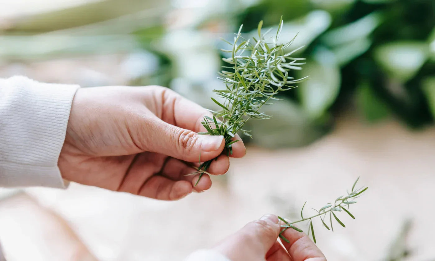 Wise Woman Herbals - Plant-Based Remedies, HSA/FSA Eligible
