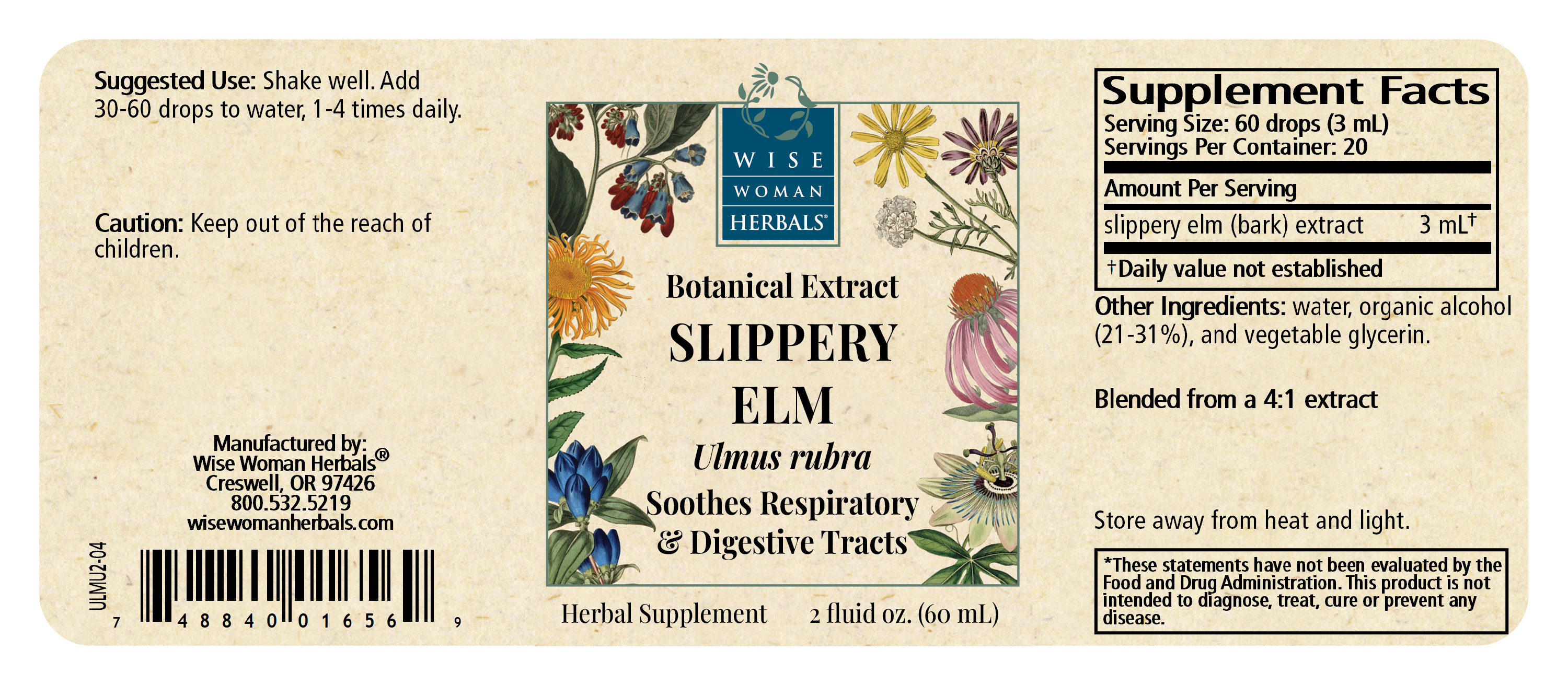 Slippery Elm (Ulmus spp.)
