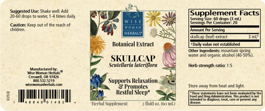 Skullcap (Scutellaria lateriflora)