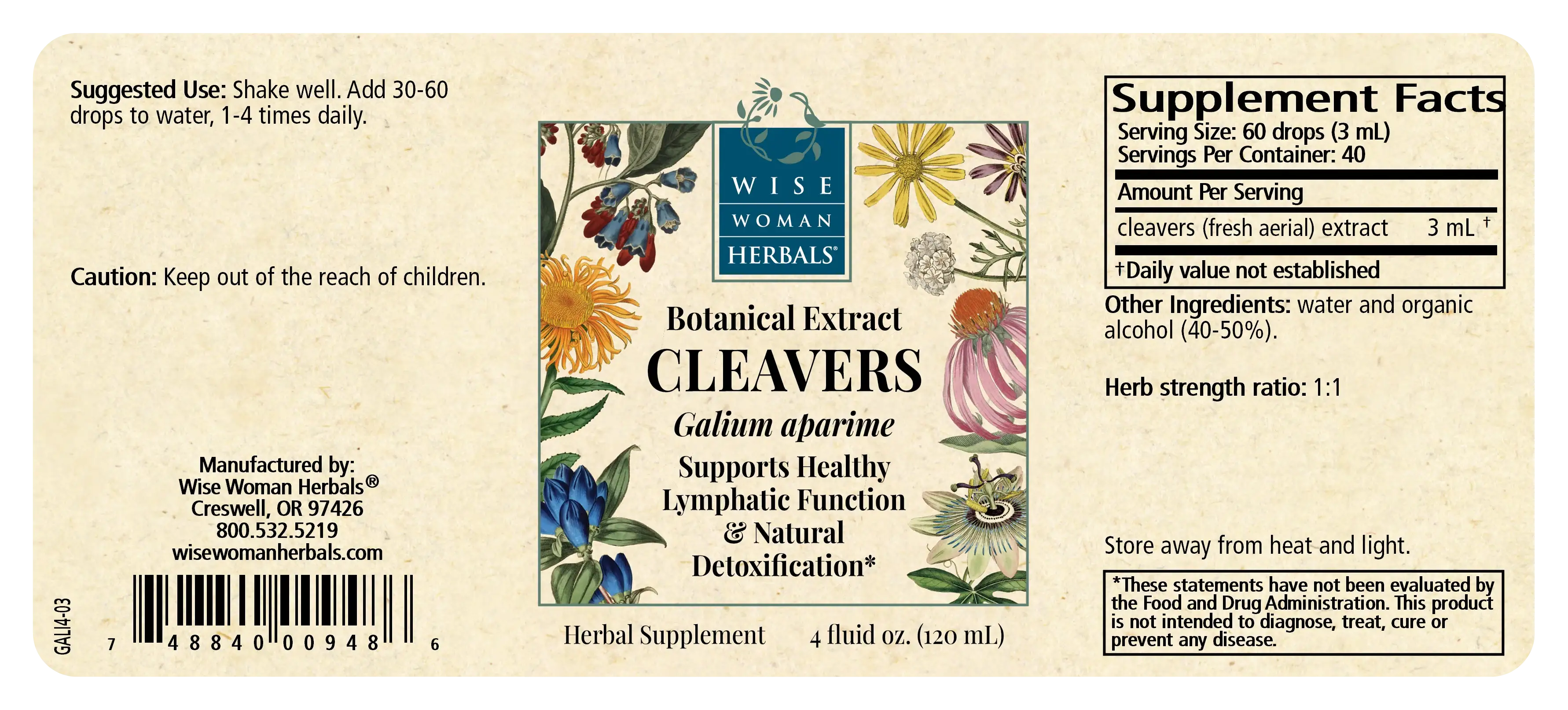 Cleavers (Galium aparine)