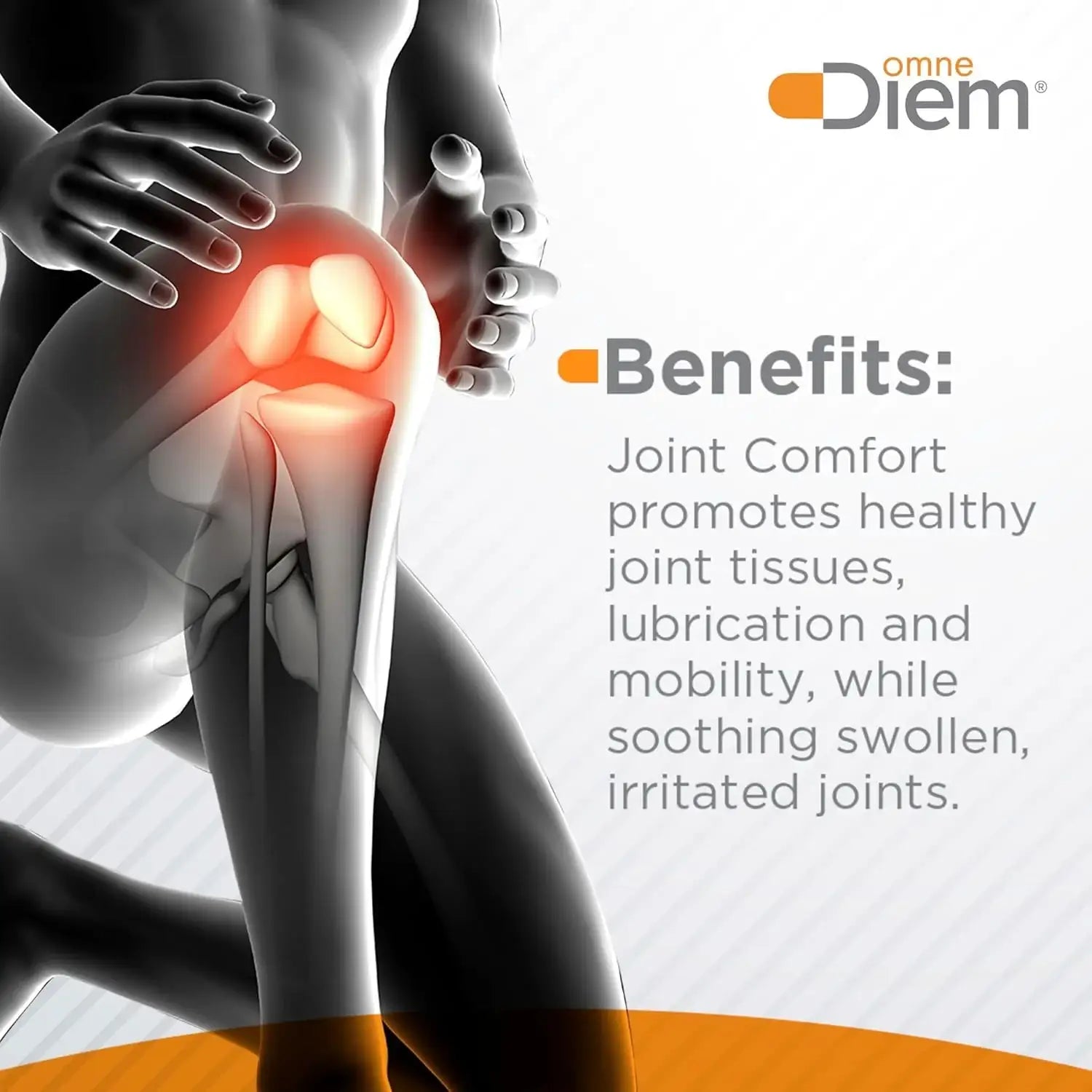 Omne Diem Joint Comfort with ZOARA, 60 Capsules – Comprehensive Joint Care & Comfort - 3 Pack