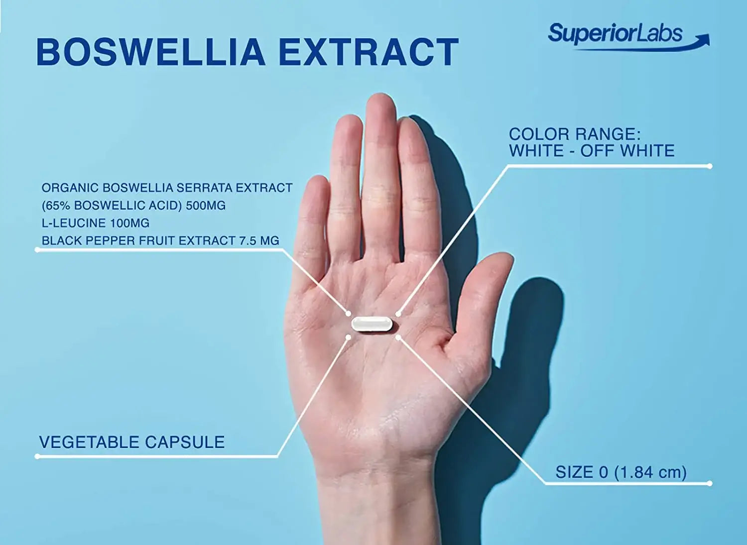 Boswellia Extract