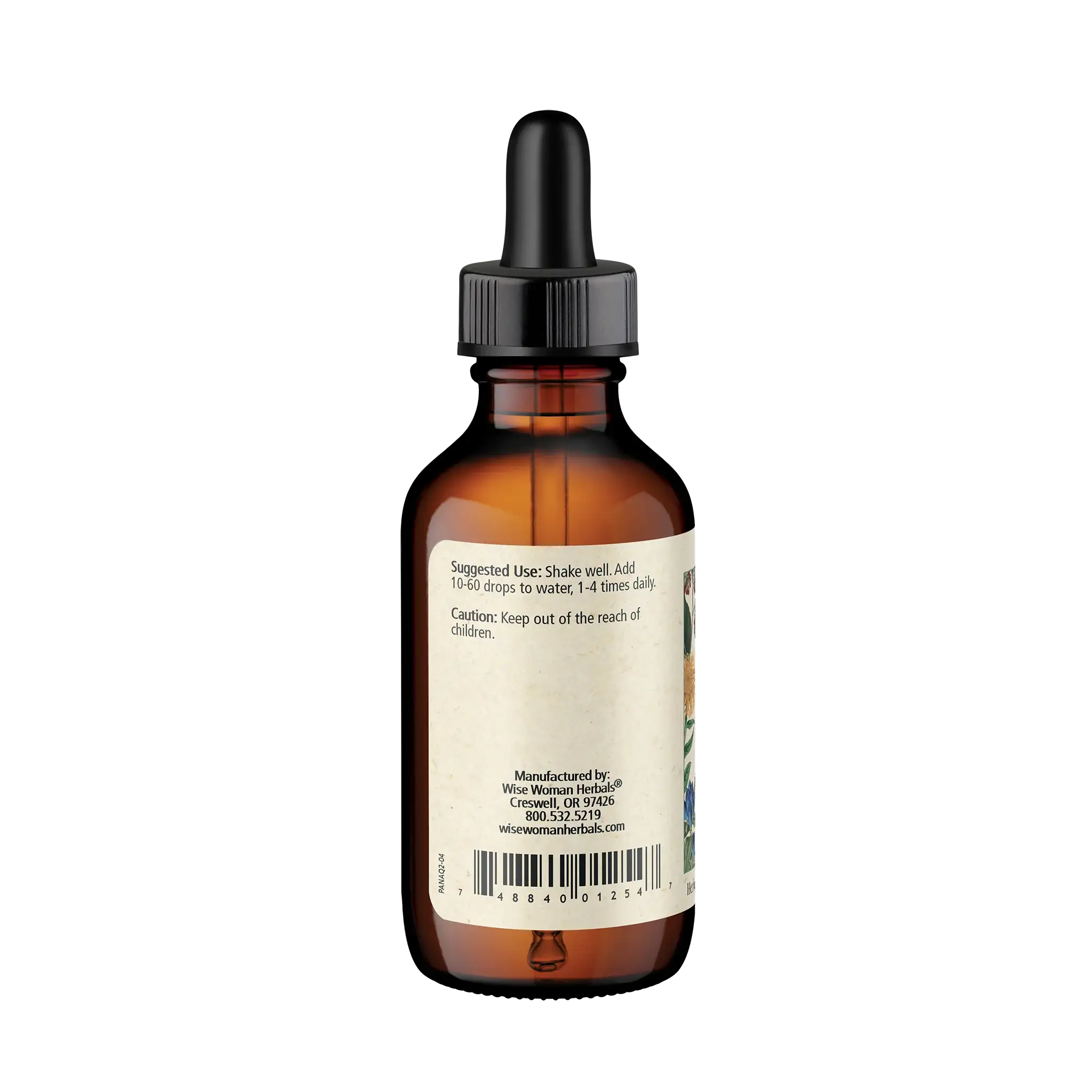 American Ginseng (Panax quinquefolius)