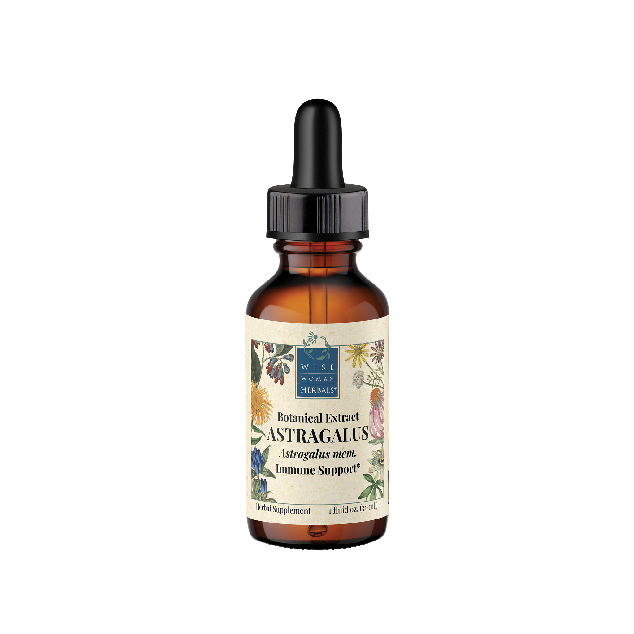 Astragalus (Astragalus membranaceous)