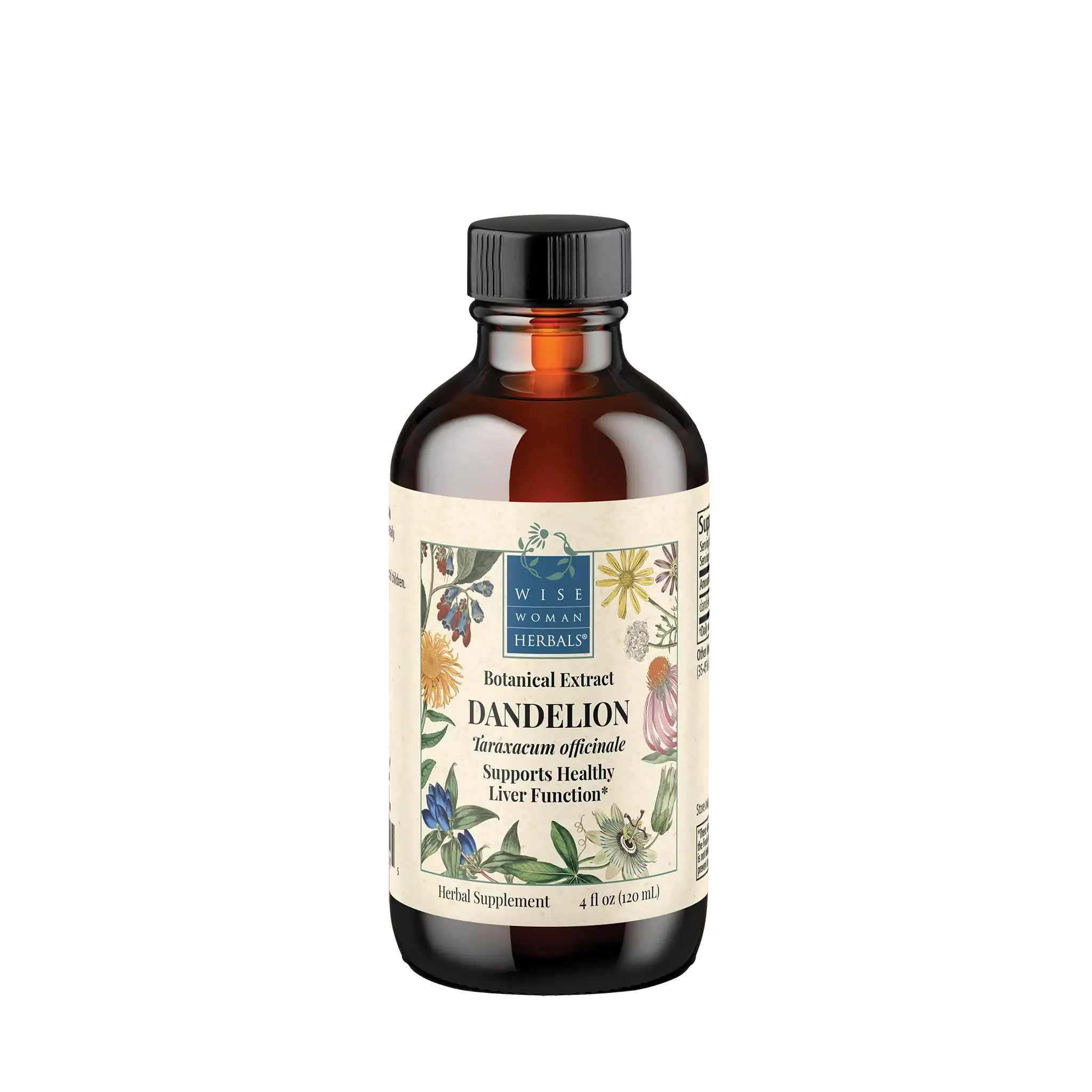 Dandelion (Taraxacum officinale) Root
