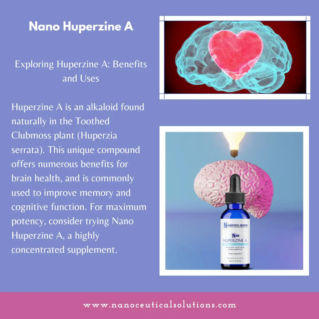 Nano Huperzine A