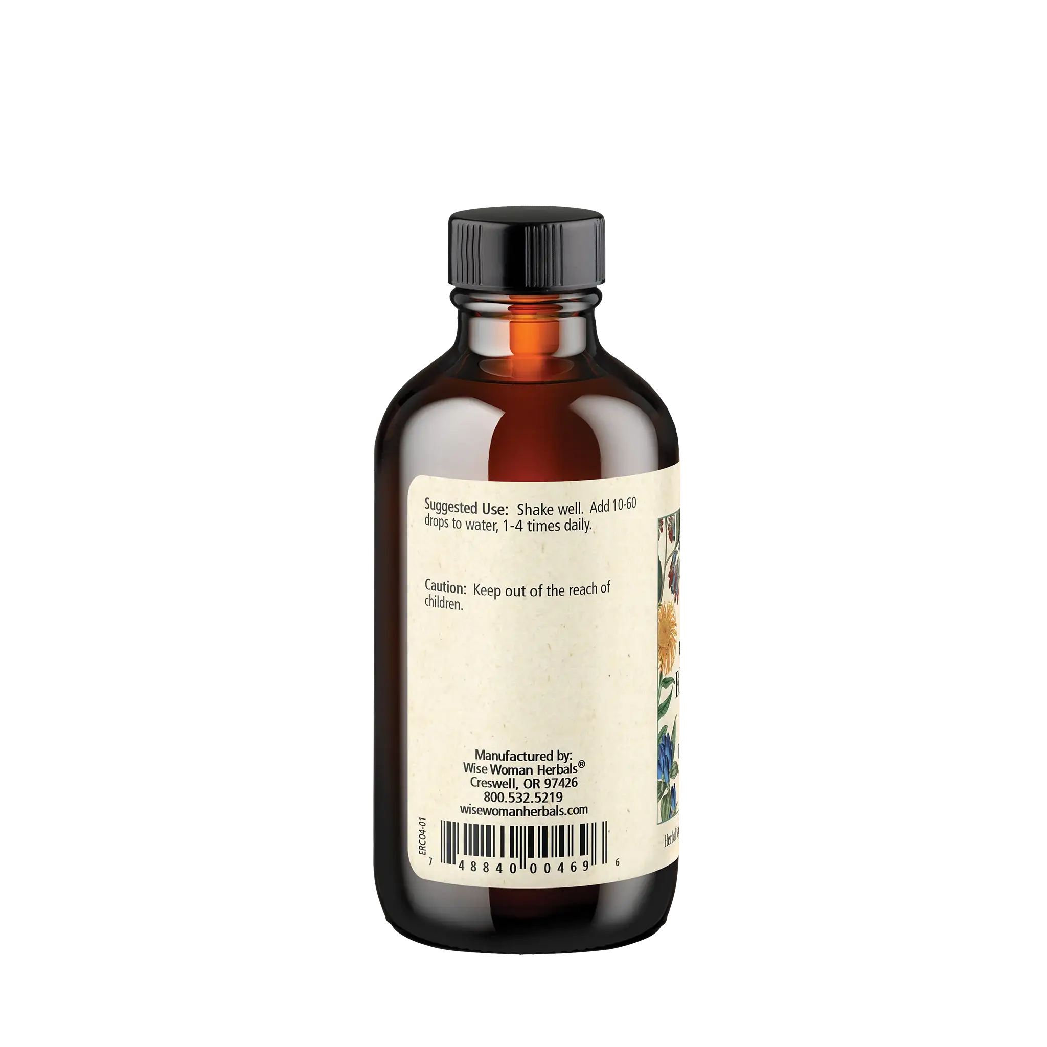 Echinacea Royal