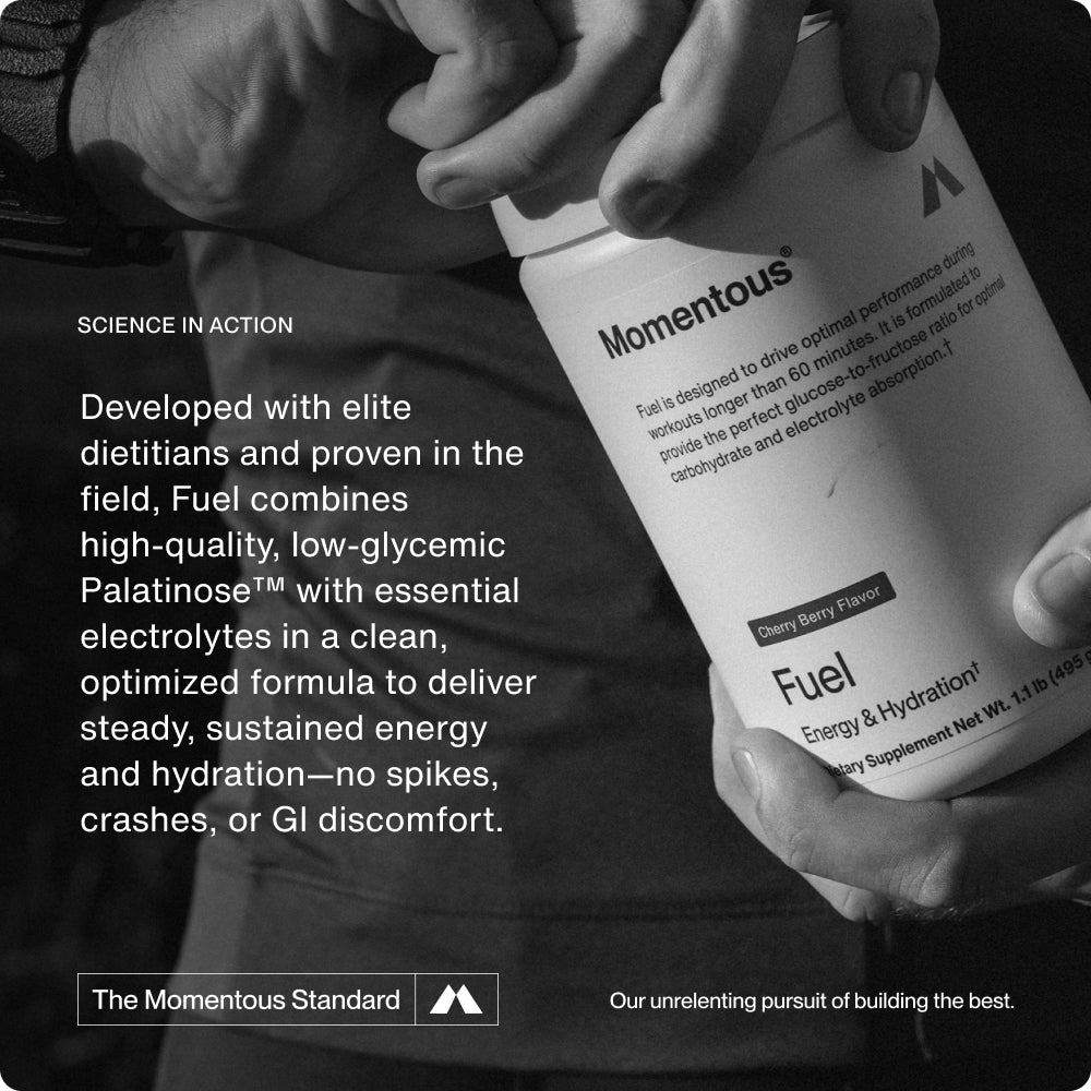 Fuel