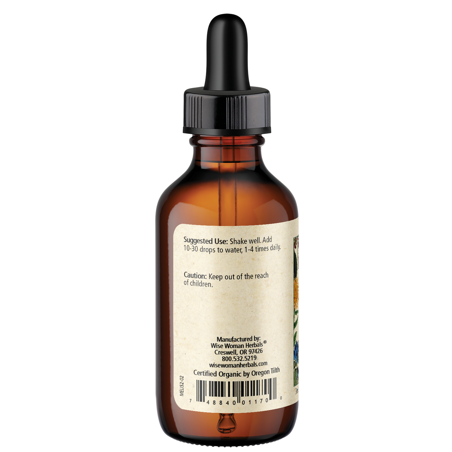 Lemon Balm (Melissa officinalis)