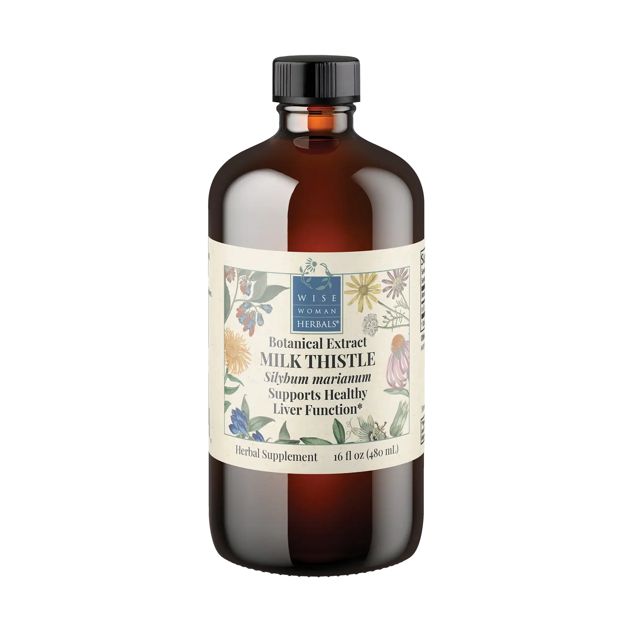Milk Thistle (Silybum marianum)