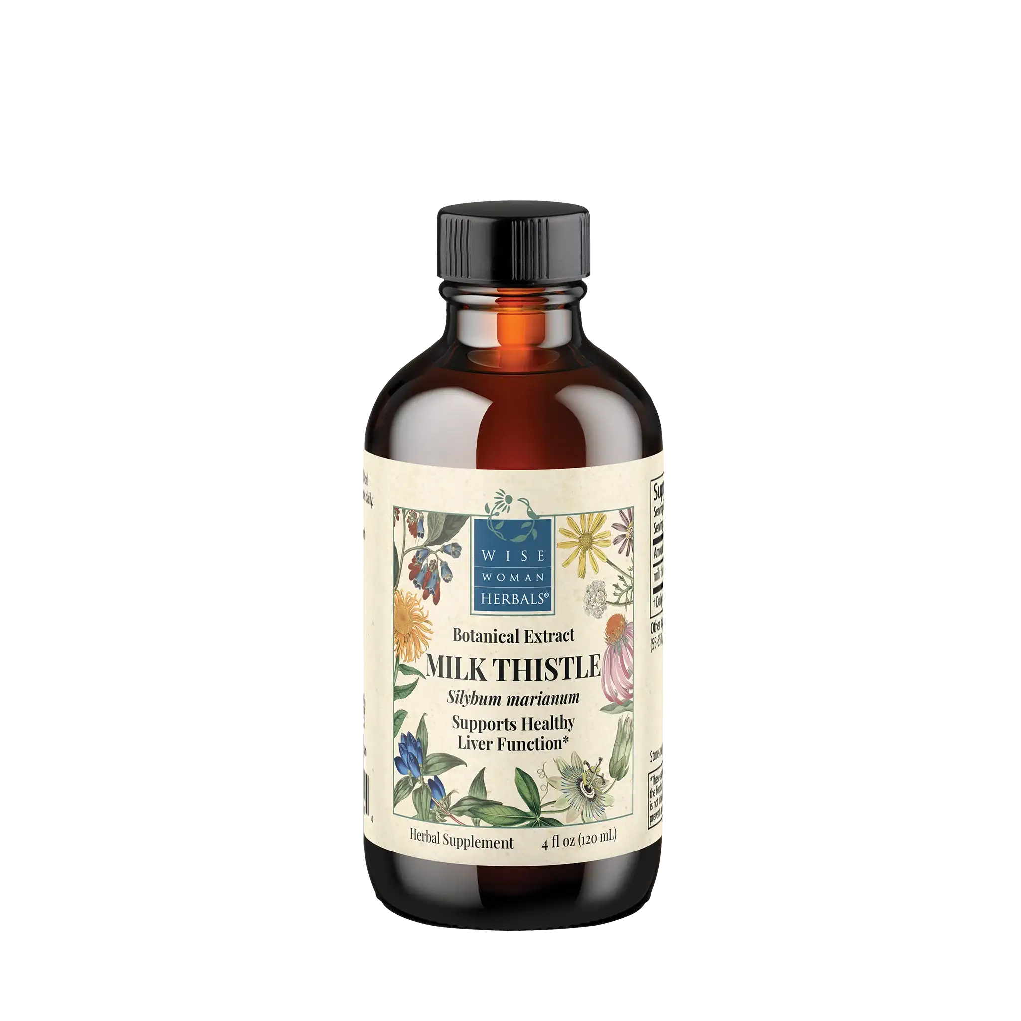 Milk Thistle (Silybum marianum)