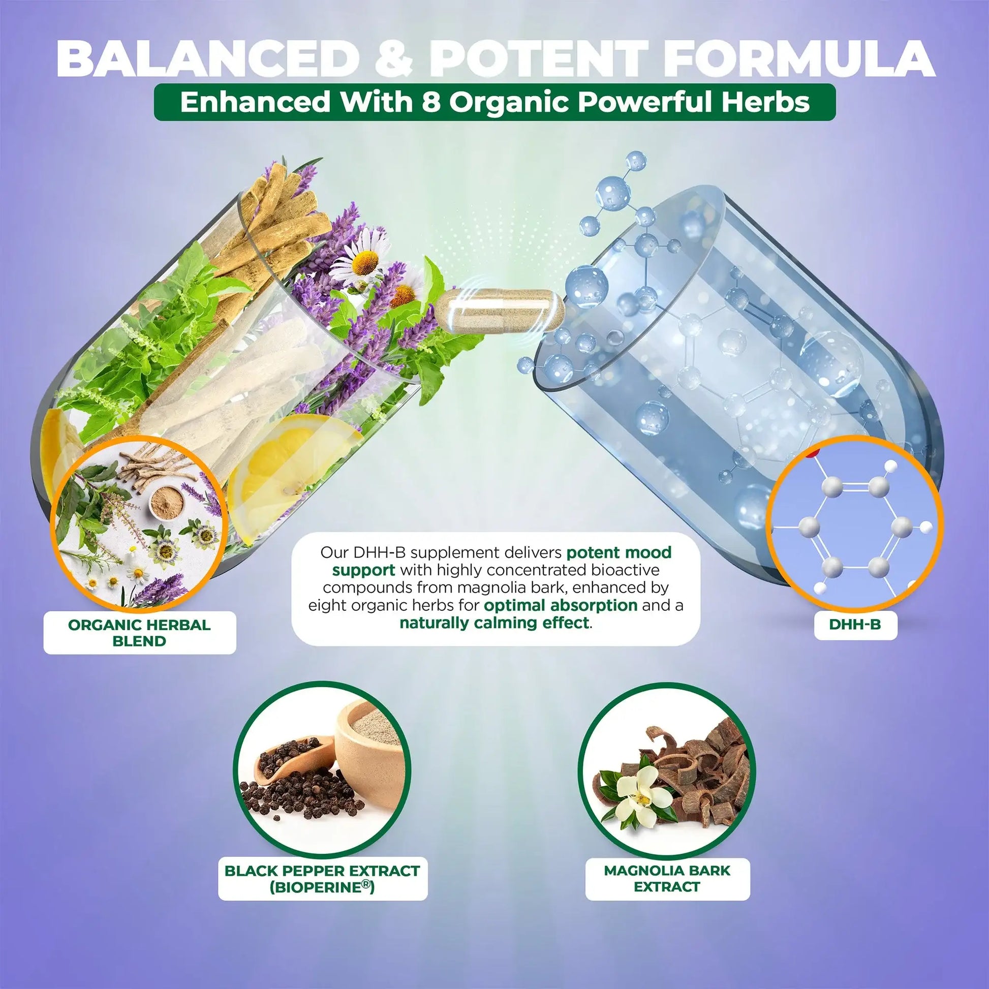 infographic showing benefits of MoxyVites DHH-B organic herbs