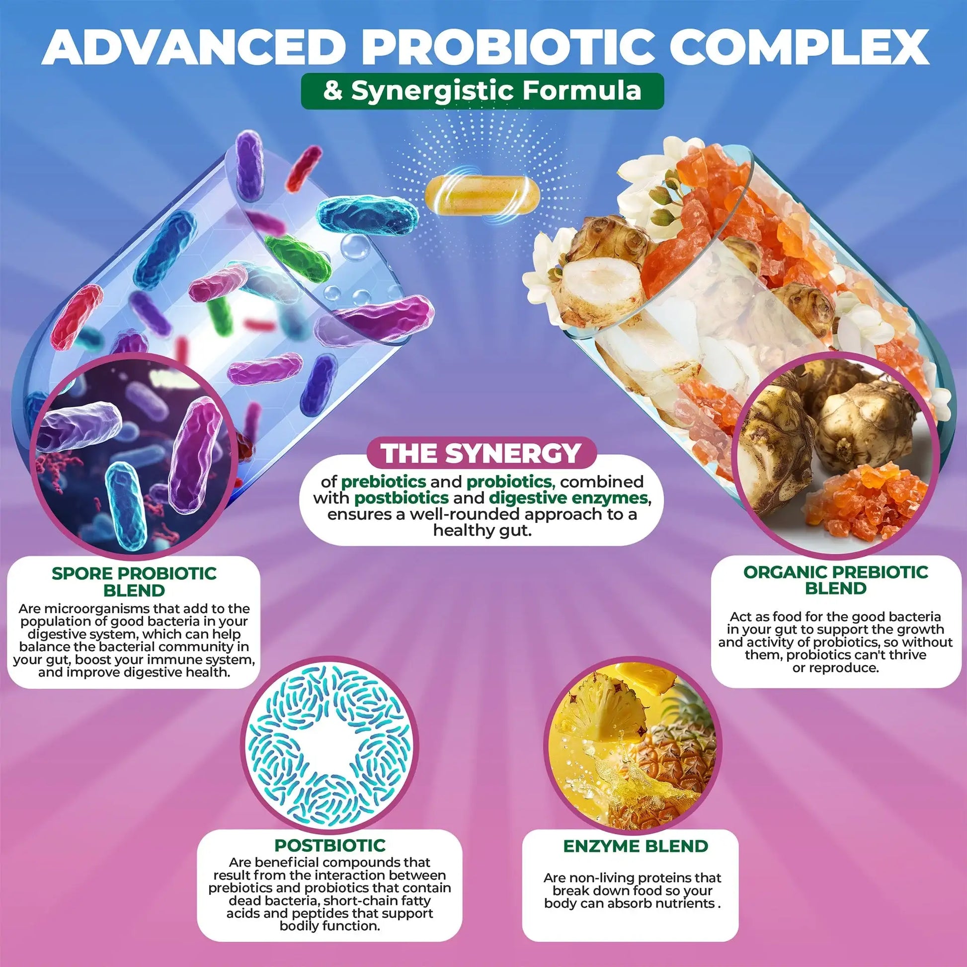infographic showing benefits of MoxyVites Spore Probiotic best formula