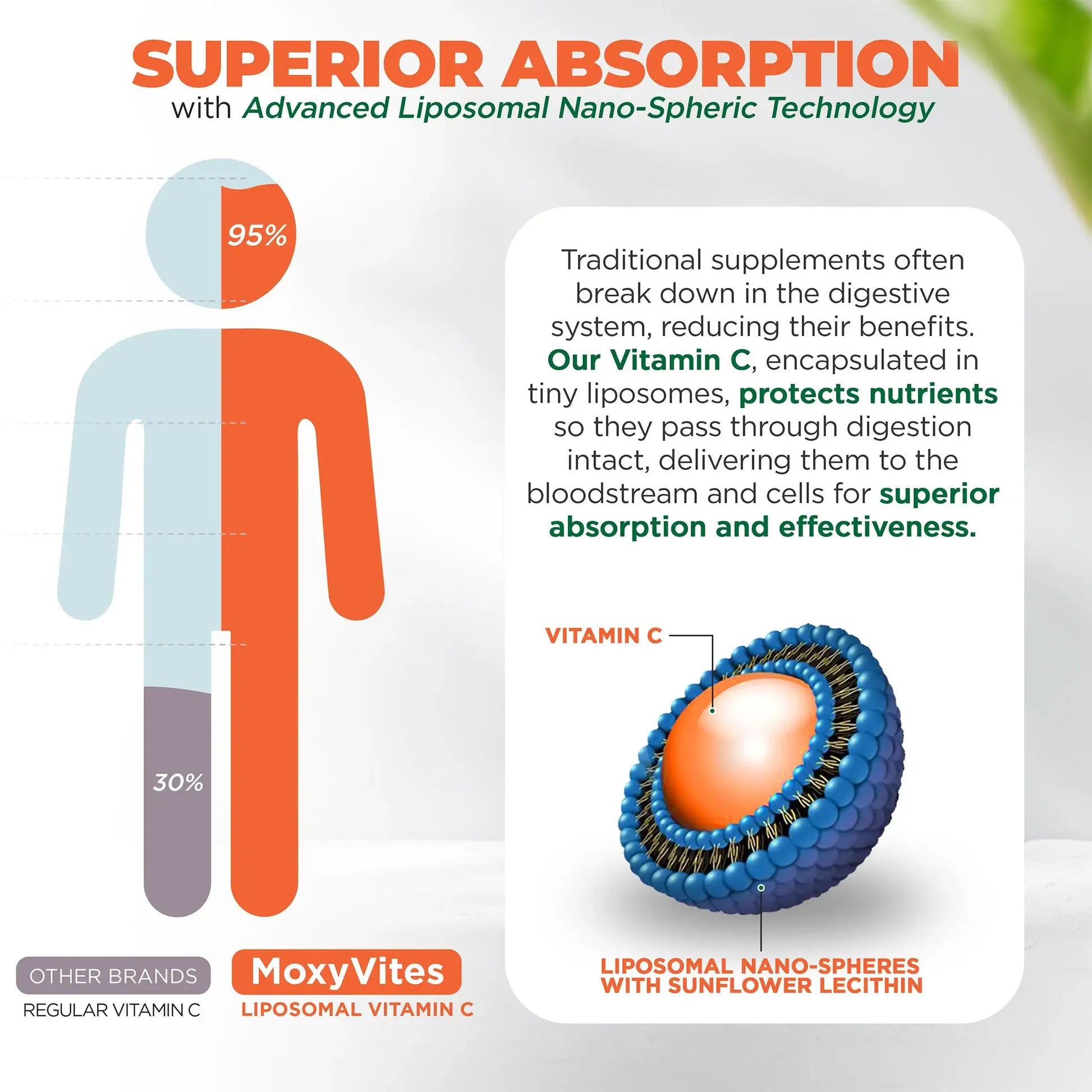 Infographic showing benefits of  liposomal Vitamin C best absorption nano-spheric technology