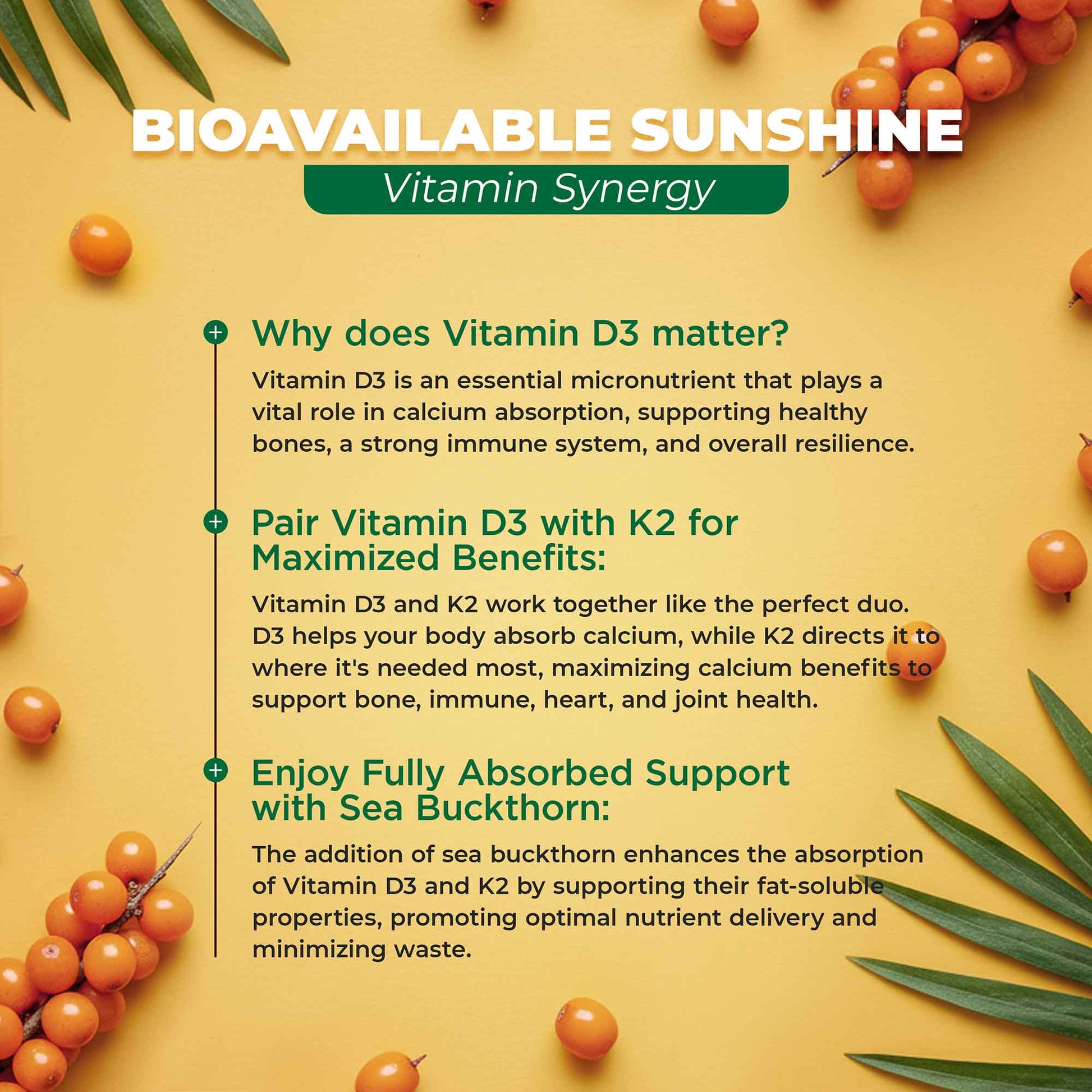 Vitamin D3 and K2 synergy with sea buckthorn on a yellow background