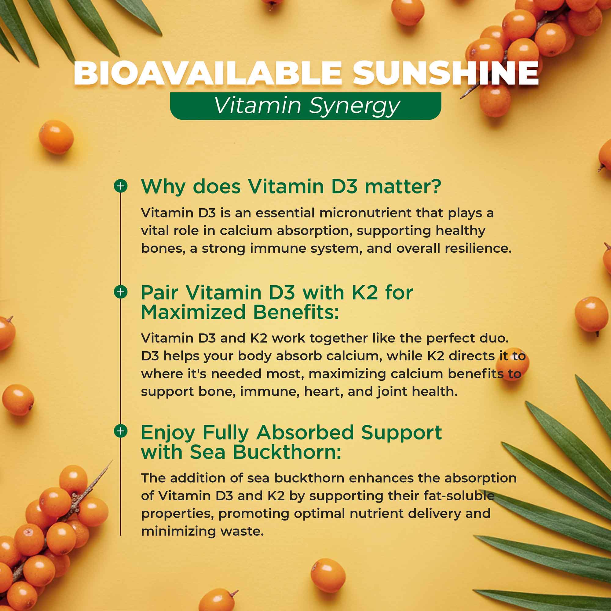 Vitamin D3 and K2 synergy with sea buckthorn on a yellow background