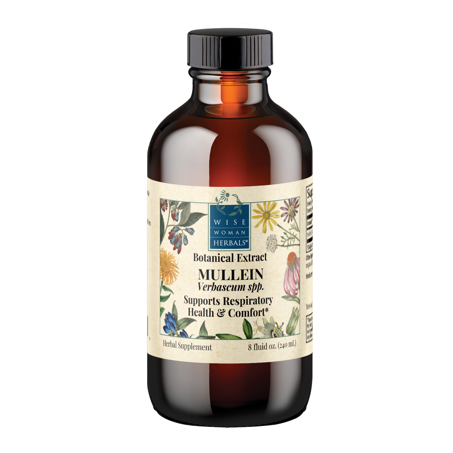 Mullein (Verbascum spp.)