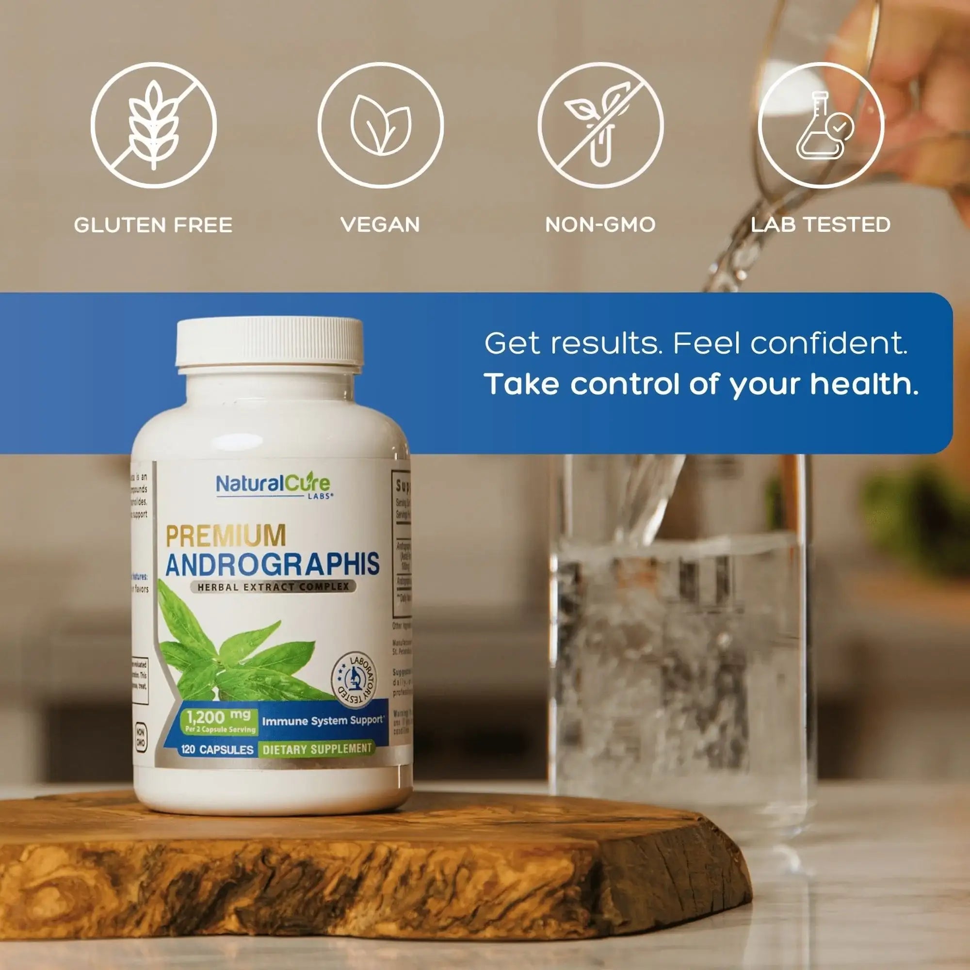 Premium Andrographis Extract