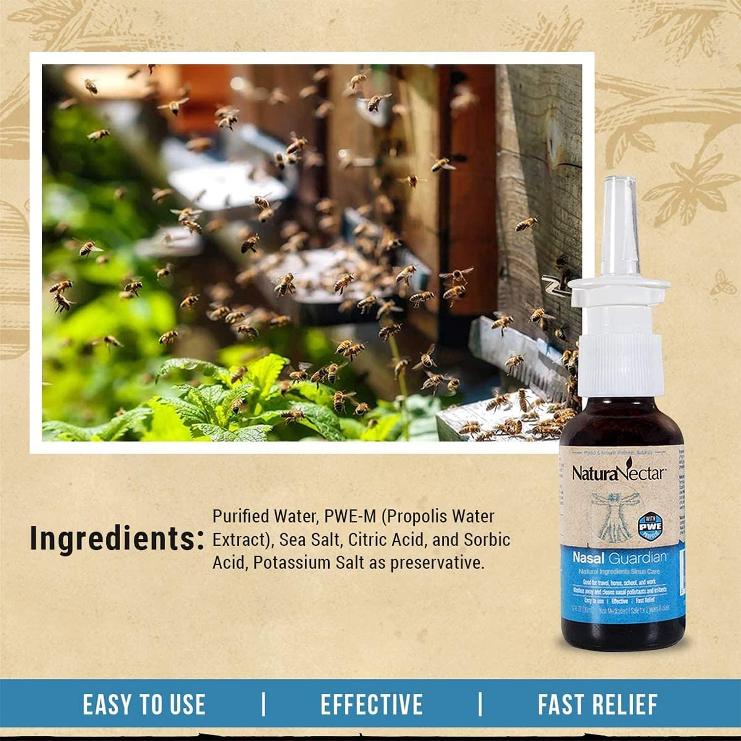 Nasal Guardian, Propolis Spray, 30 mL (1 Fl Oz)  | Pack of 3