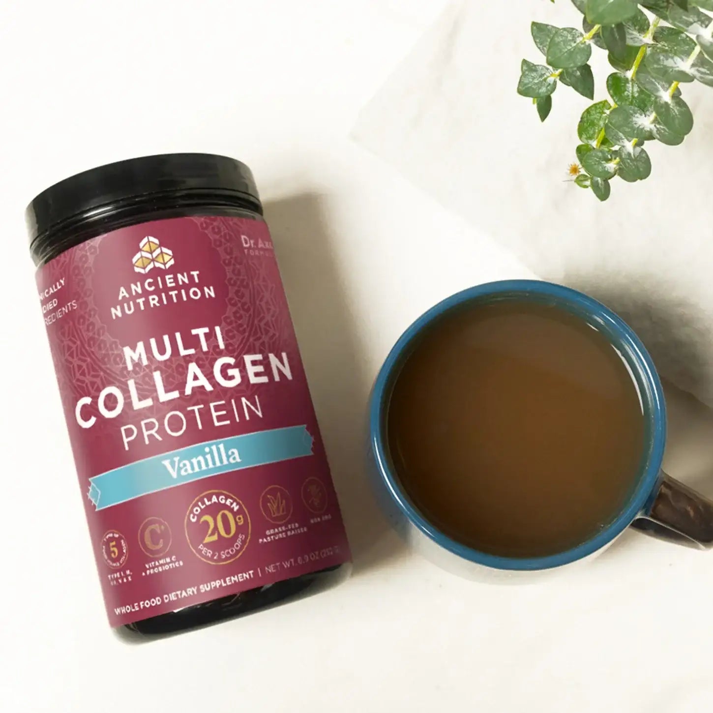 Ancient Nutrition Multi Collagen Protein Powder Chocolate & Vanilla -  10 Collagen Types for Joints Skin Hair Nails Gut Support - HSA FSA Eligible