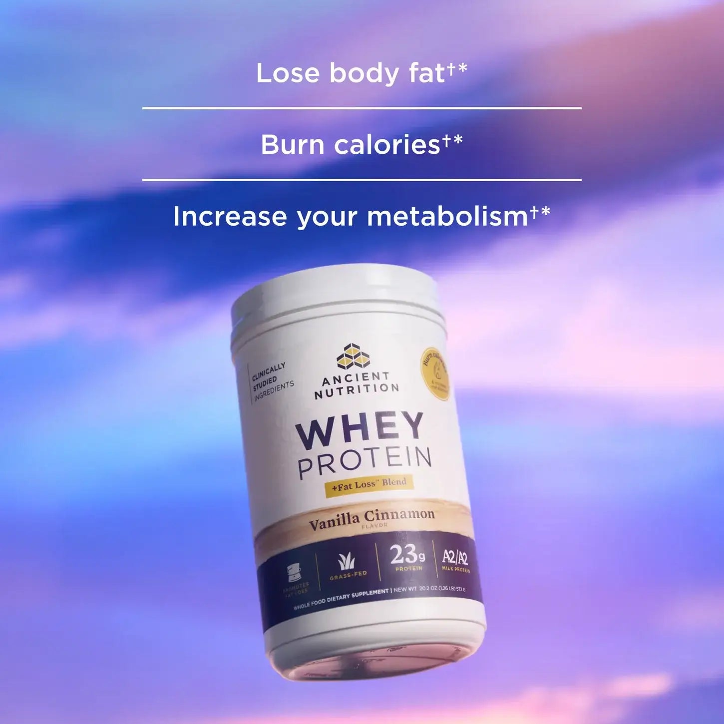 Ancient Nutrition Whey Protein + Fat Loss Blend - Vanilla Cinnamon 23g A2 Grass-Fed with  BCAAs Supports Fat Loss Muscle Gain HSA FSA Eligible 20 Servings