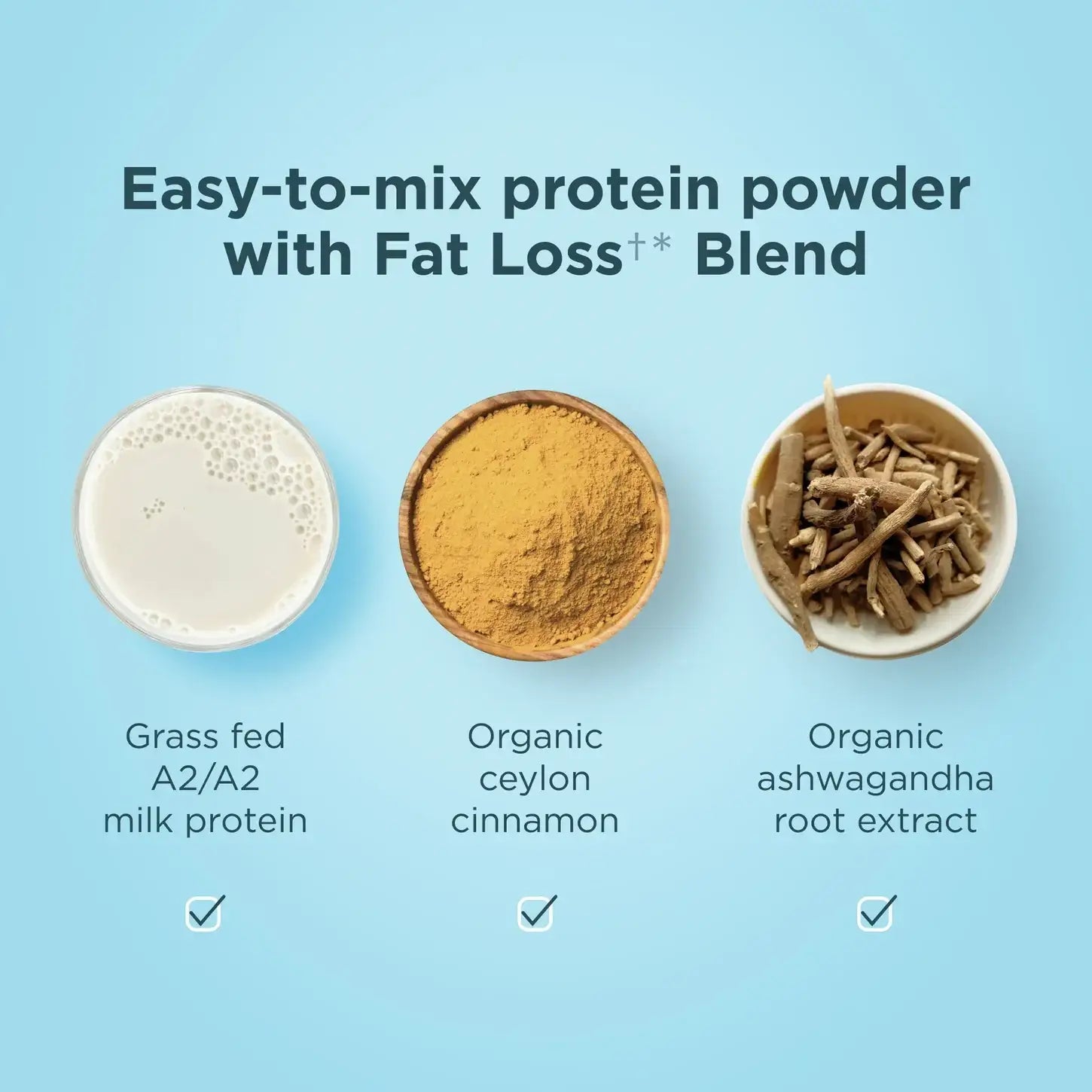 Ancient Nutrition Whey Protein + Fat Loss Blend - Vanilla Cinnamon 23g A2 Grass-Fed with  BCAAs Supports Fat Loss Muscle Gain HSA FSA Eligible 20 Servings