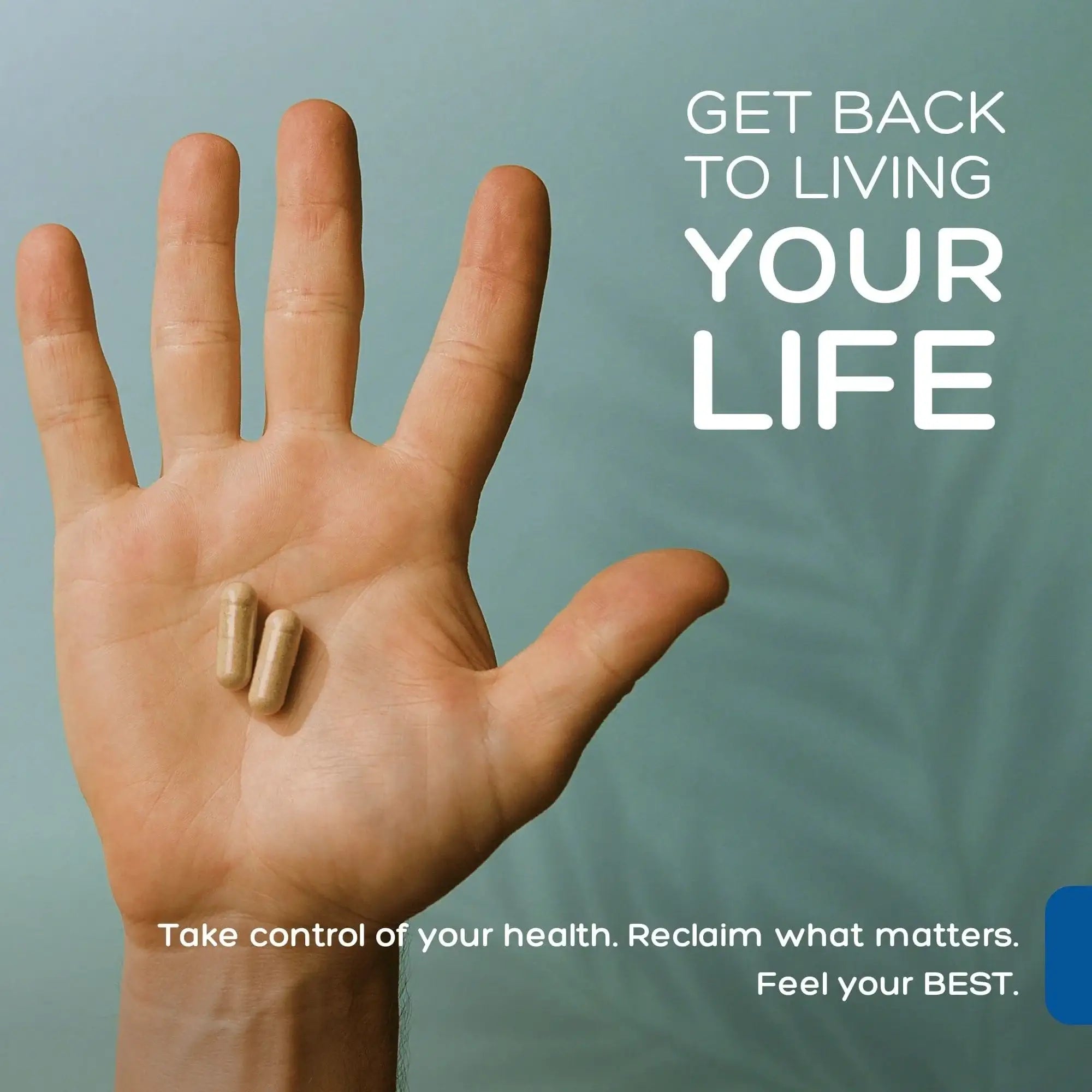 Premium Immune Support  | Palmara Health