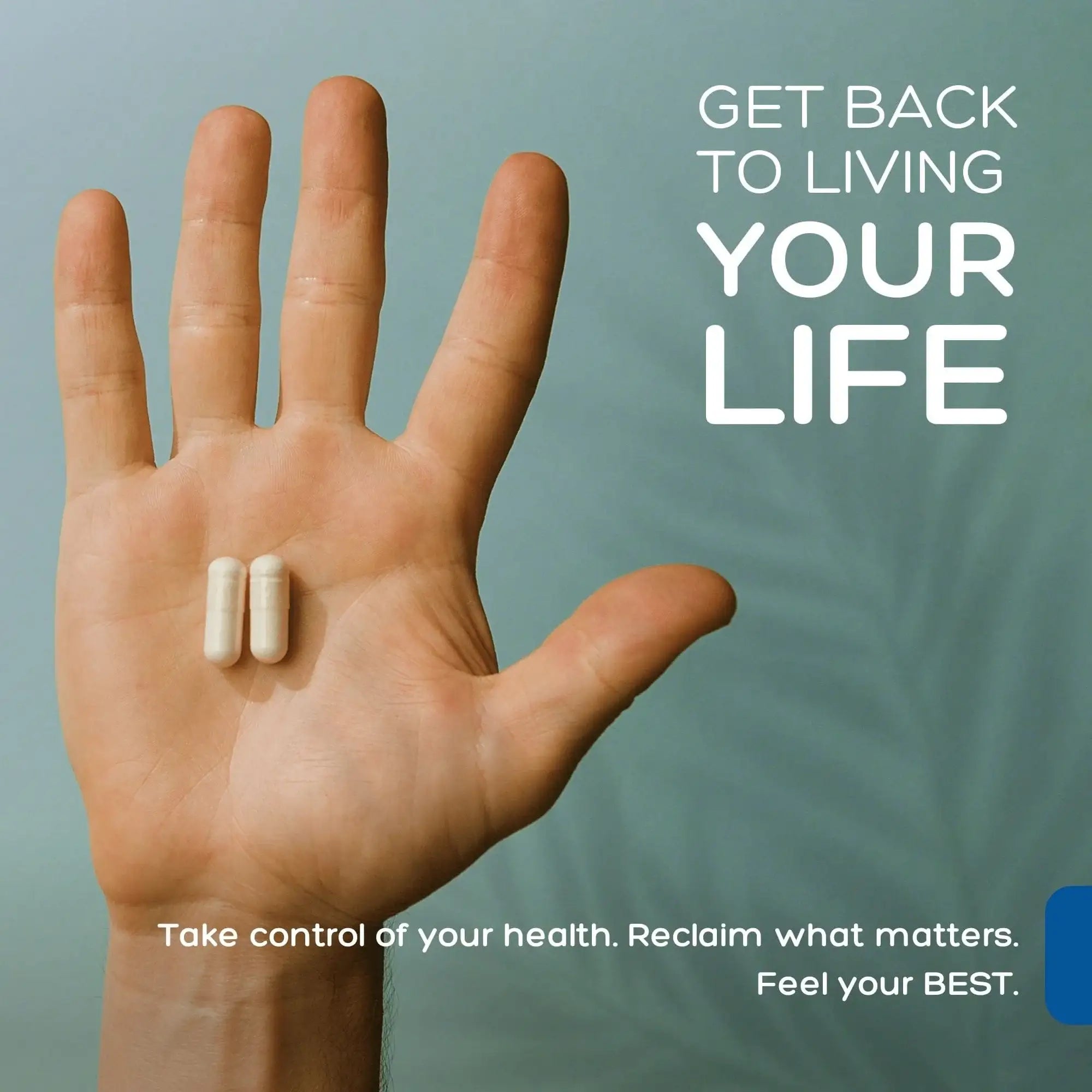 L-Lysine + Monolaurin 1:1 Ratio | Palmara Health