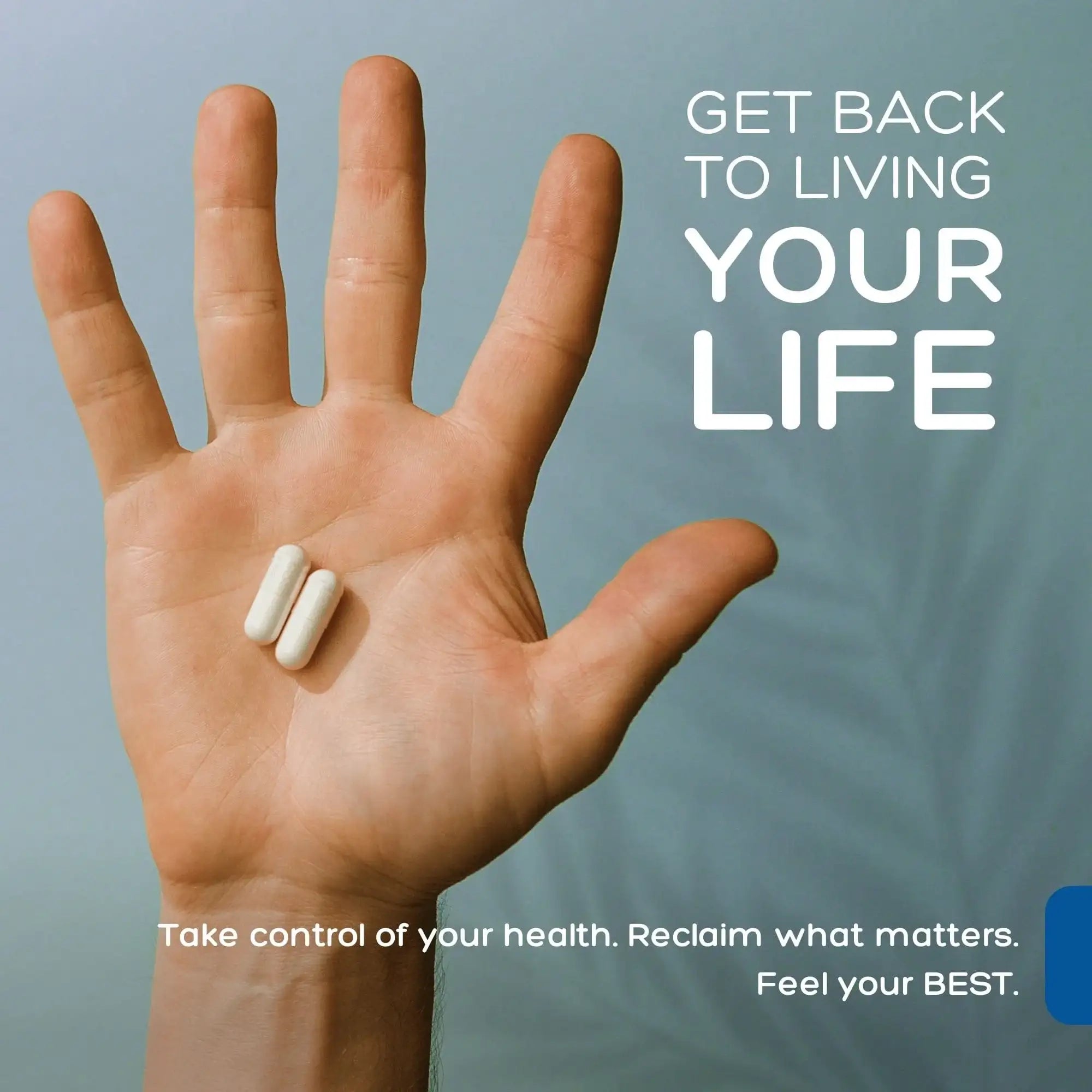 Premium Monolaurin 600mg  | Palmara Health