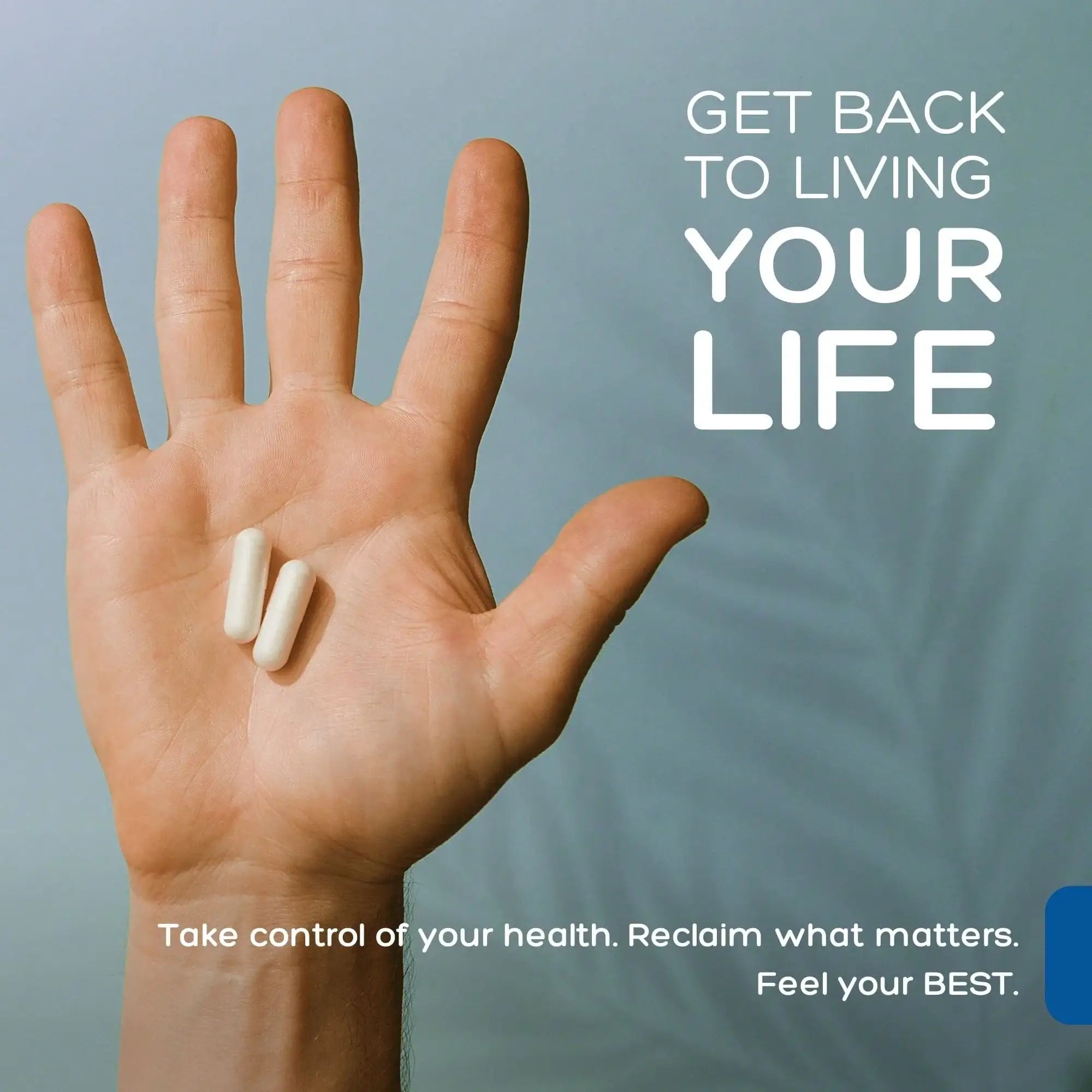 Extra Strength Monolaurin  | Palmara Health