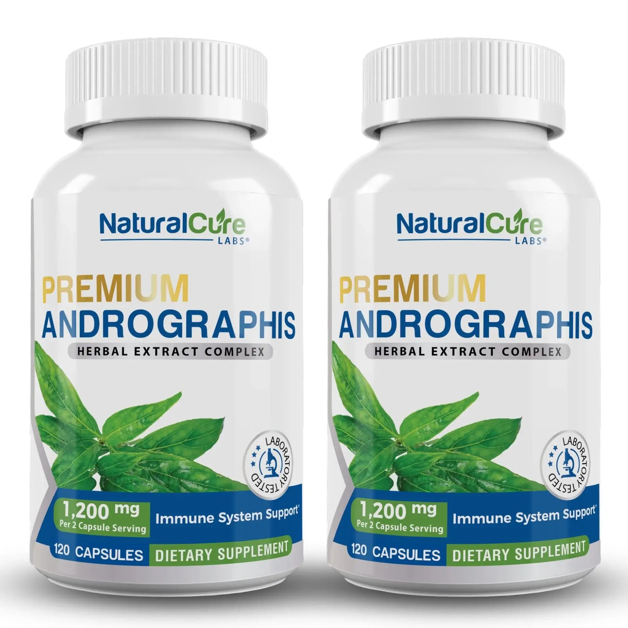 Premium Andrographis Extract