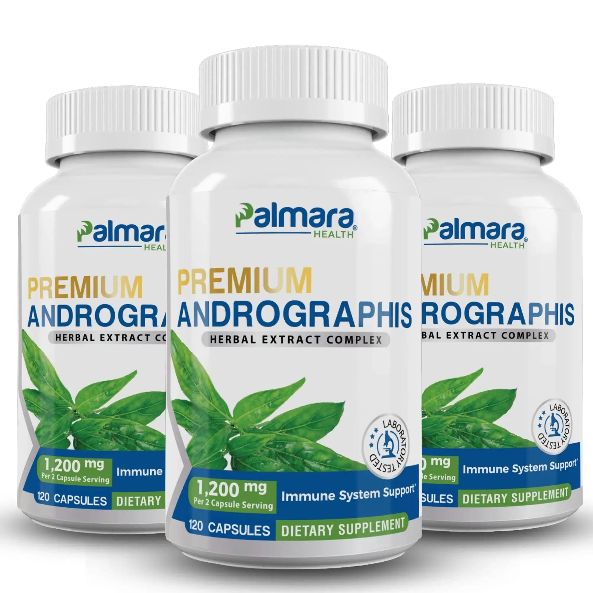 Premium Andrographis Extract | Palmara Health