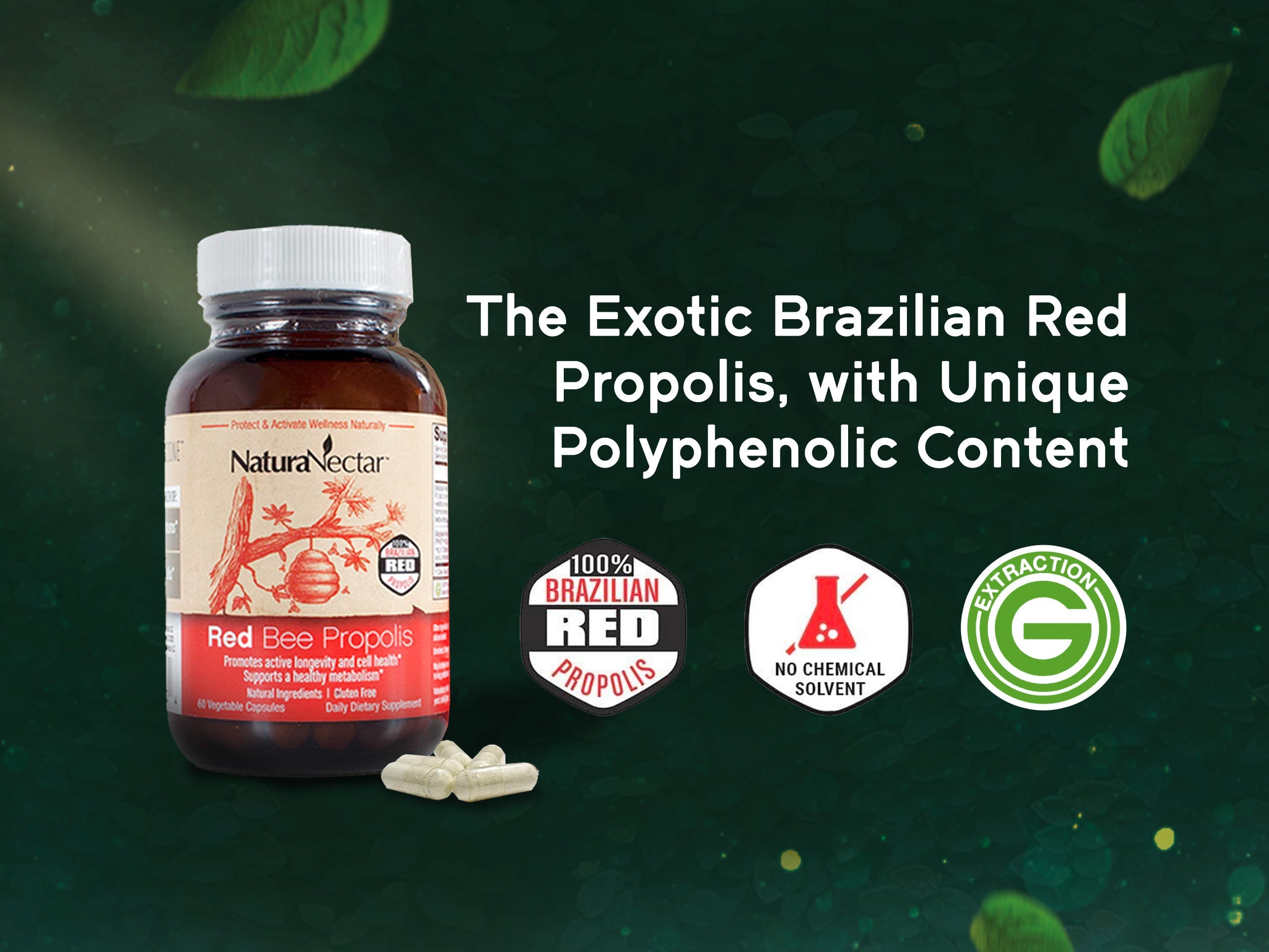 Red Bee Propolis, NSF Contents Certified, 60 Capsules |  Pack of 3