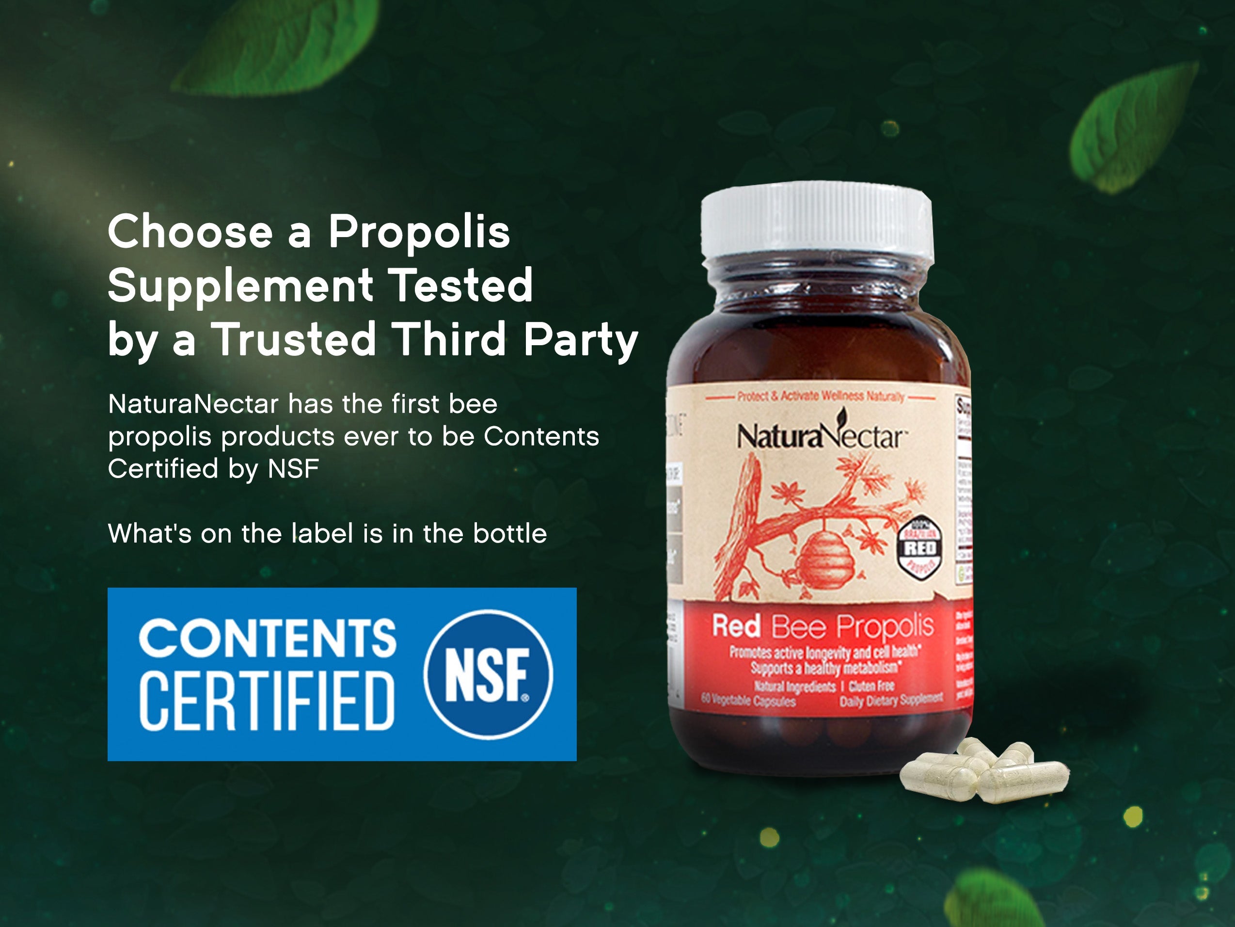 Red Bee Propolis, NSF Contents Certified, 60 Capsules |  Pack of 3