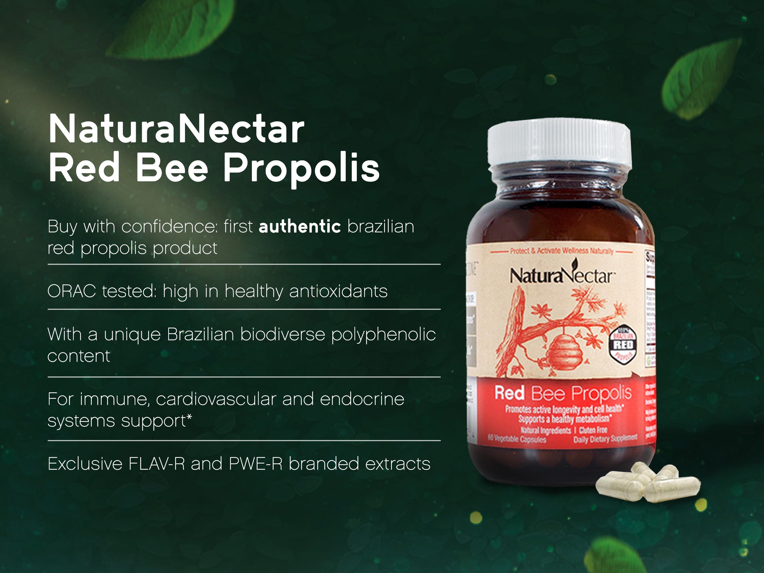 Red Bee Propolis, NSF Contents Certified, 60 Capsules |  Pack of 3