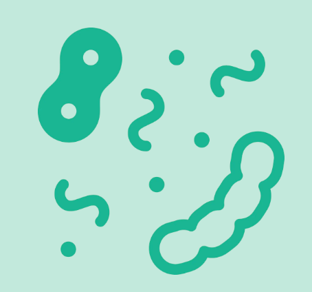Postbiotics are stable bacteria strains which support immune health.