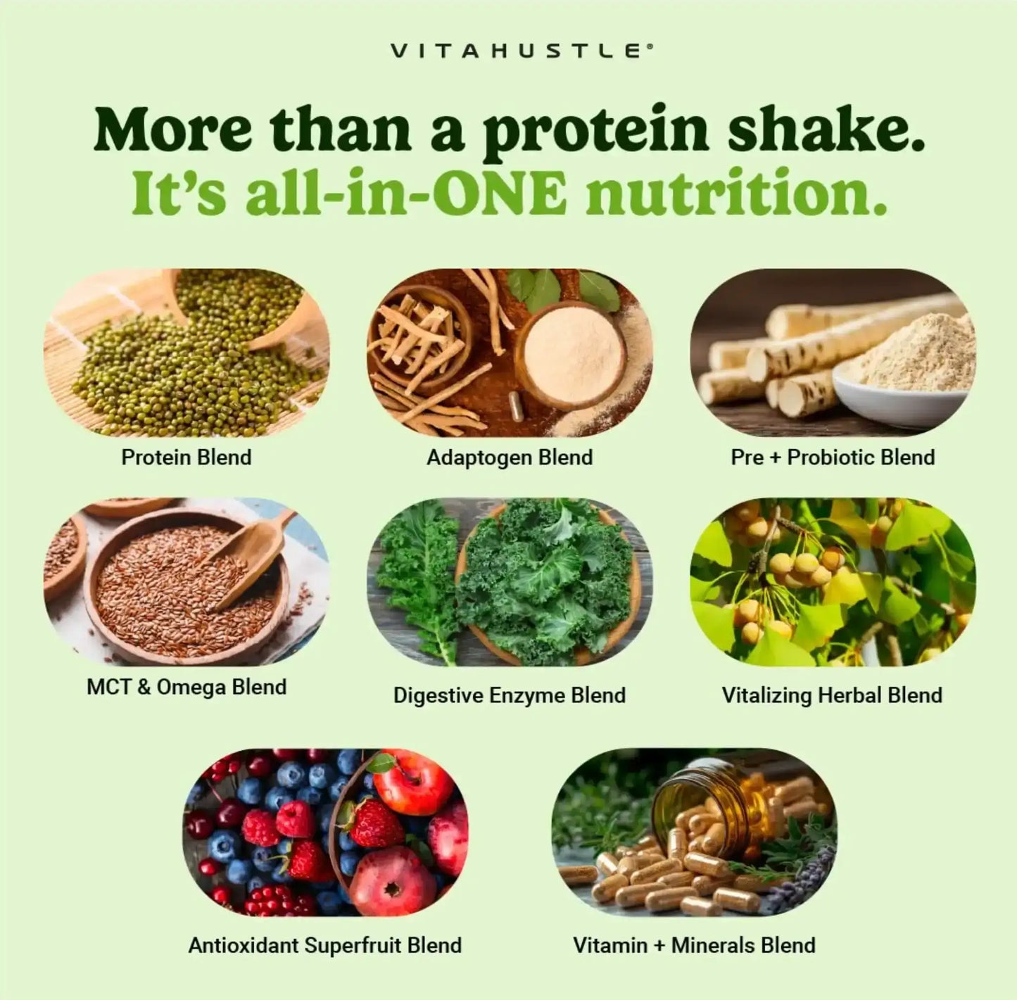 VitaHustle ONE Plant‑Based Protein Powder - Chocolate - Blend of 86 Ingredients with Vitamins & Probiotics