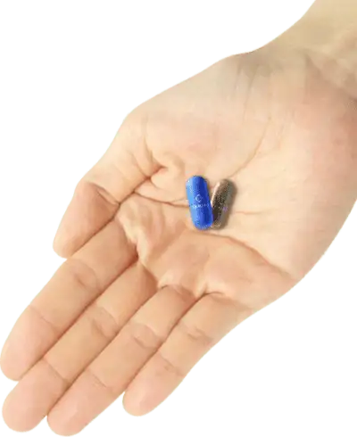 focus brain supplement