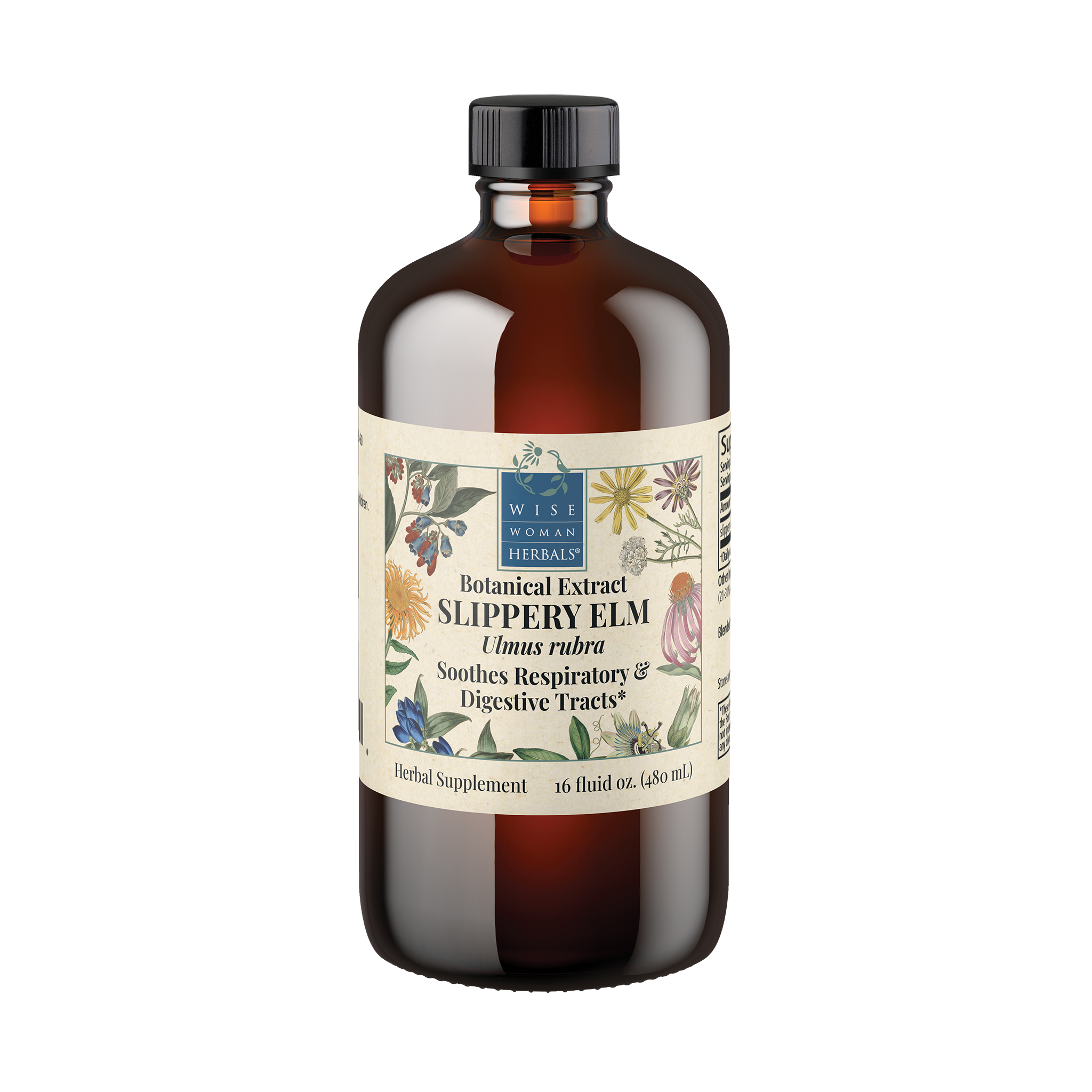 Slippery Elm (Ulmus spp.)
