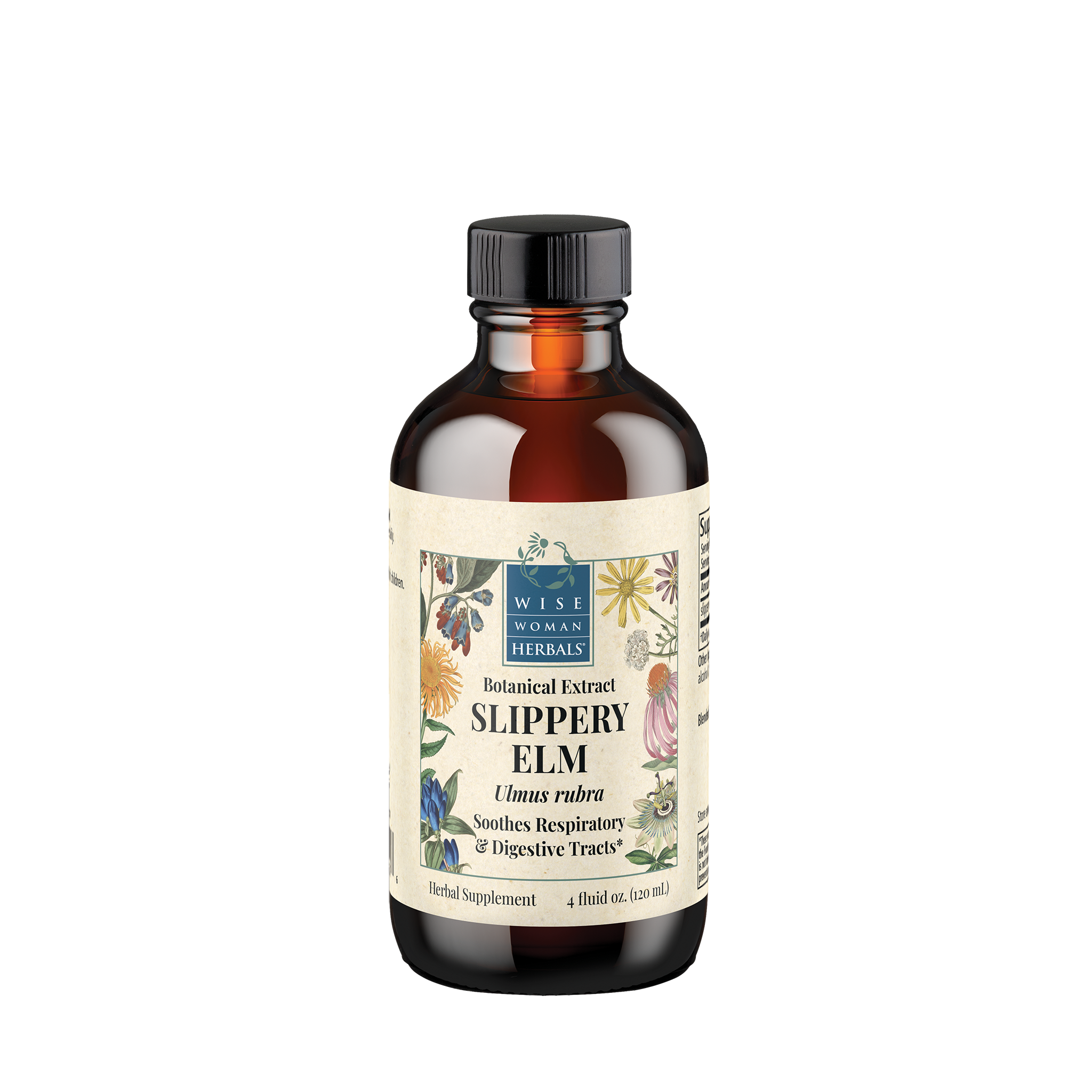 Slippery Elm (Ulmus spp.)
