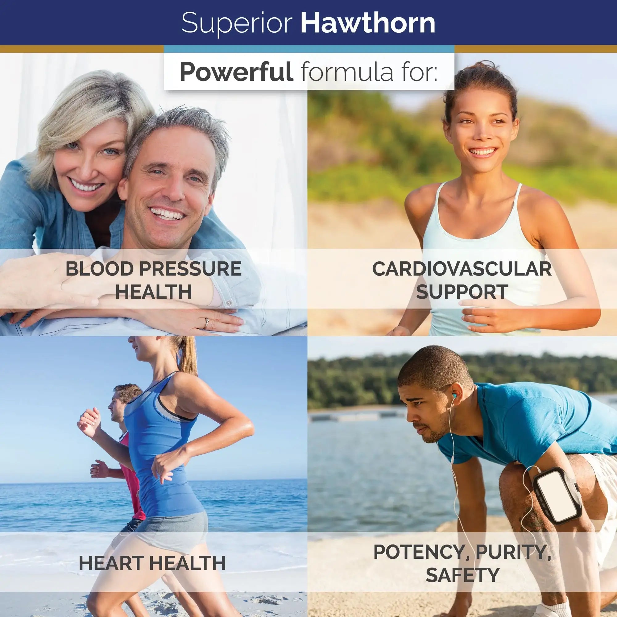 Hawthorn Extract