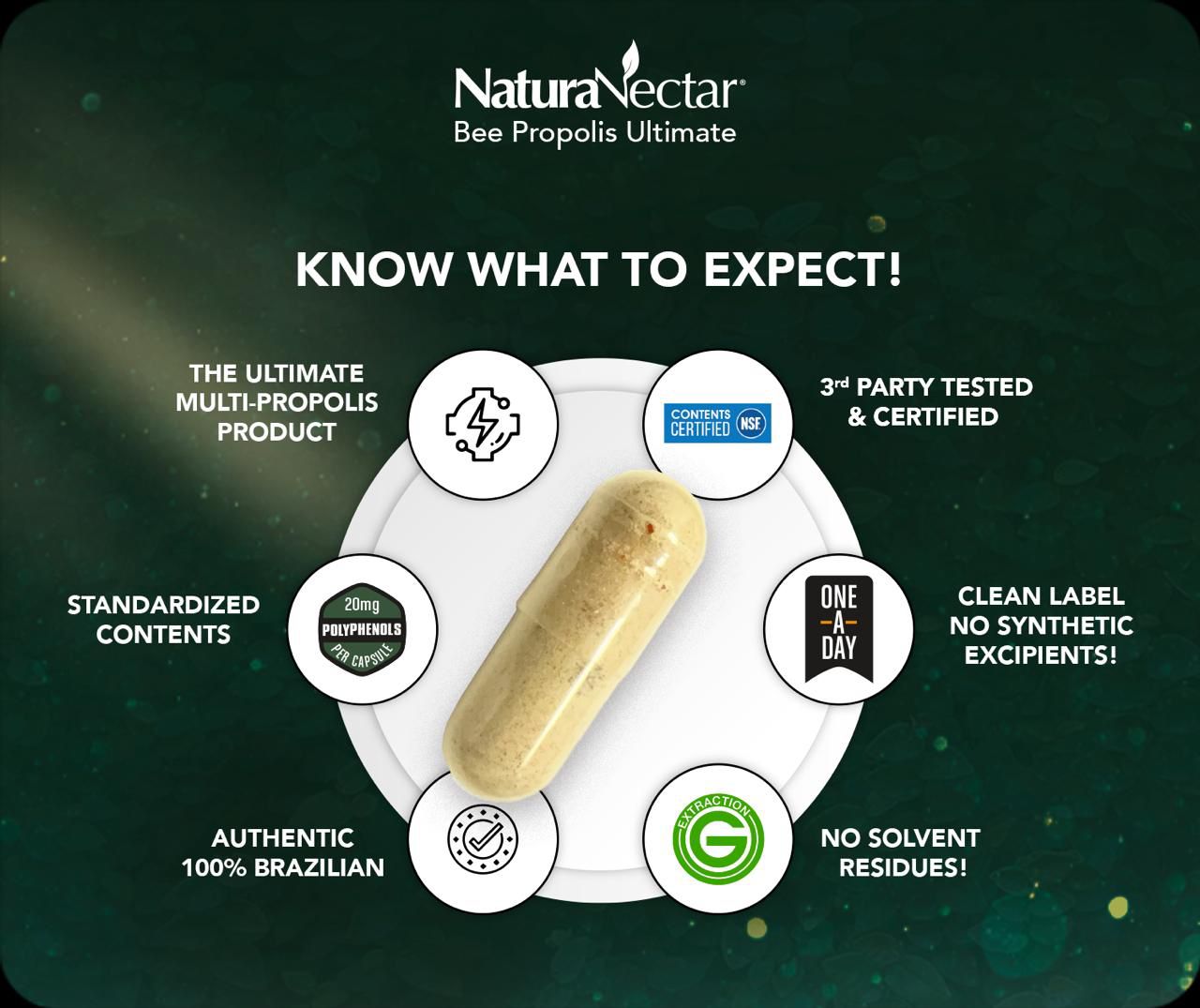 Ultimate Propolis Capsules, NSF Contents Certified, 60 capsules